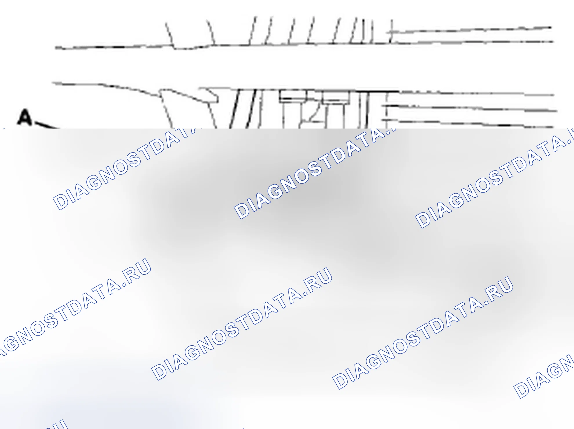 Рис. 54. Honda Accord VIII рестайлинг