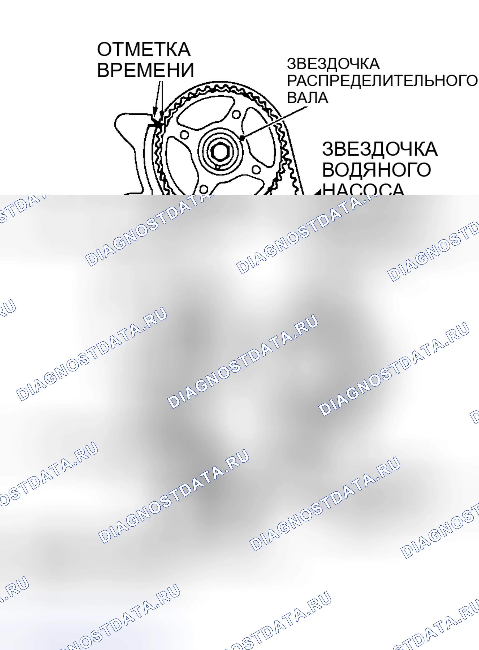 Рис. 391: > > B < < РЕГУЛИРОВКА НАТЯЖЕНИЯ РЕМНЯ ГРМ. Honda Edix I