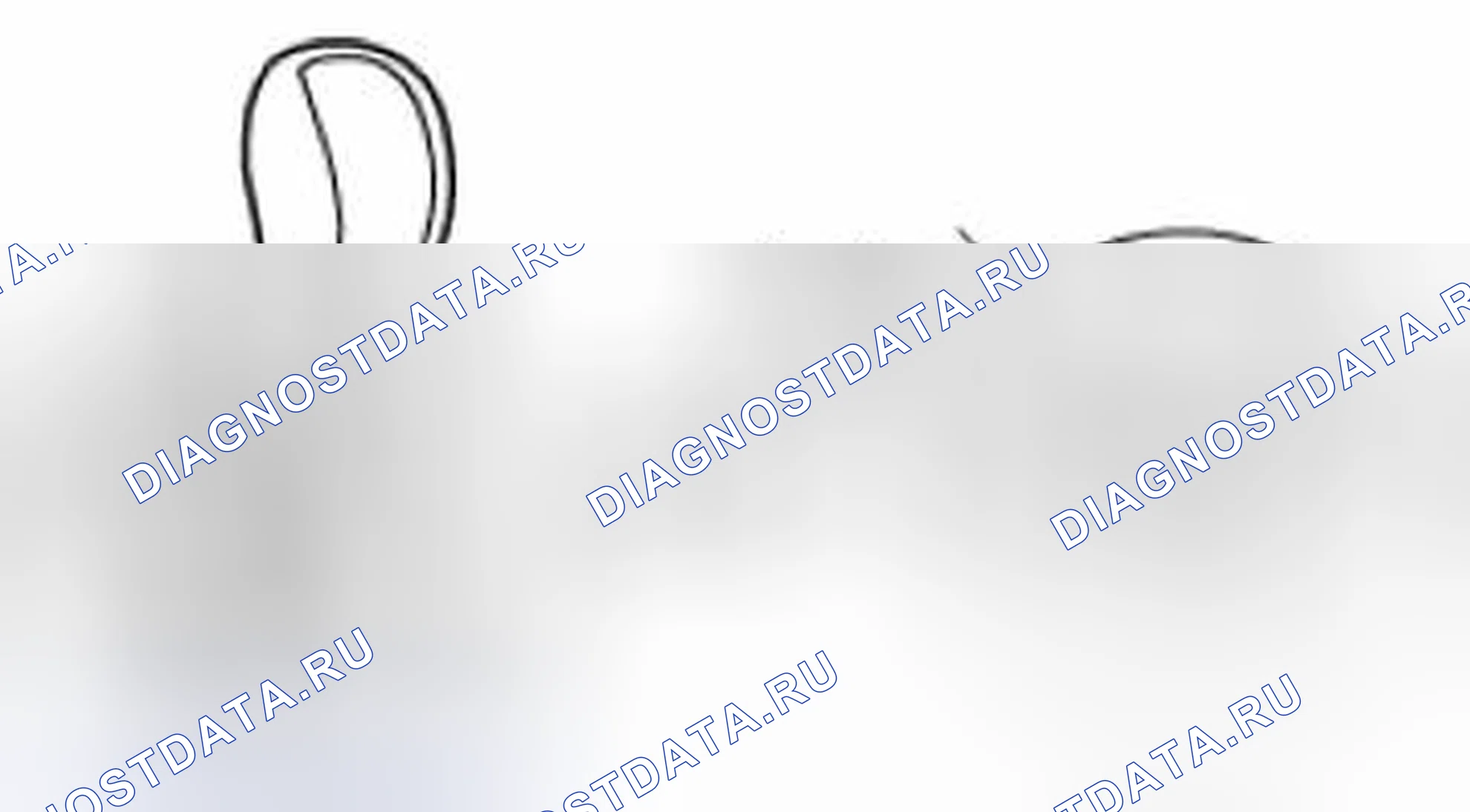 Рис. 78. Suzuki Grand Vitara II рестайлинг 2