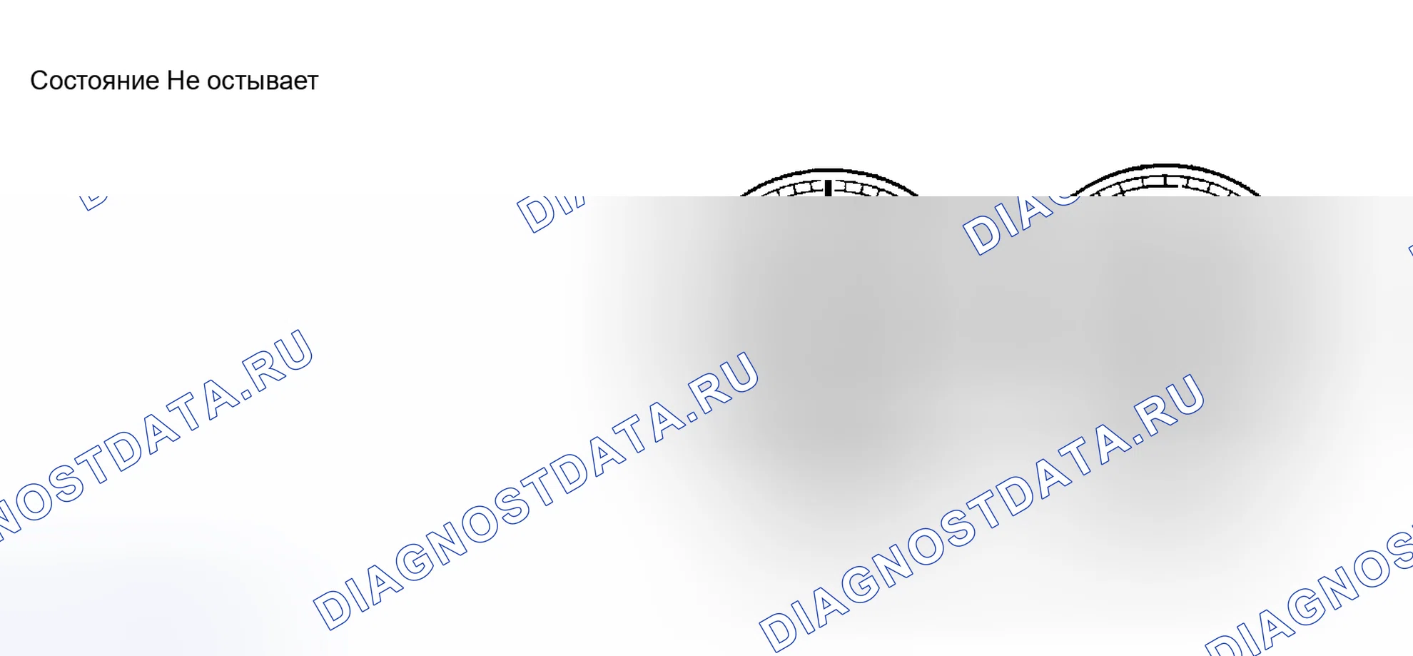 Рис. 21. Haval Menglong I
