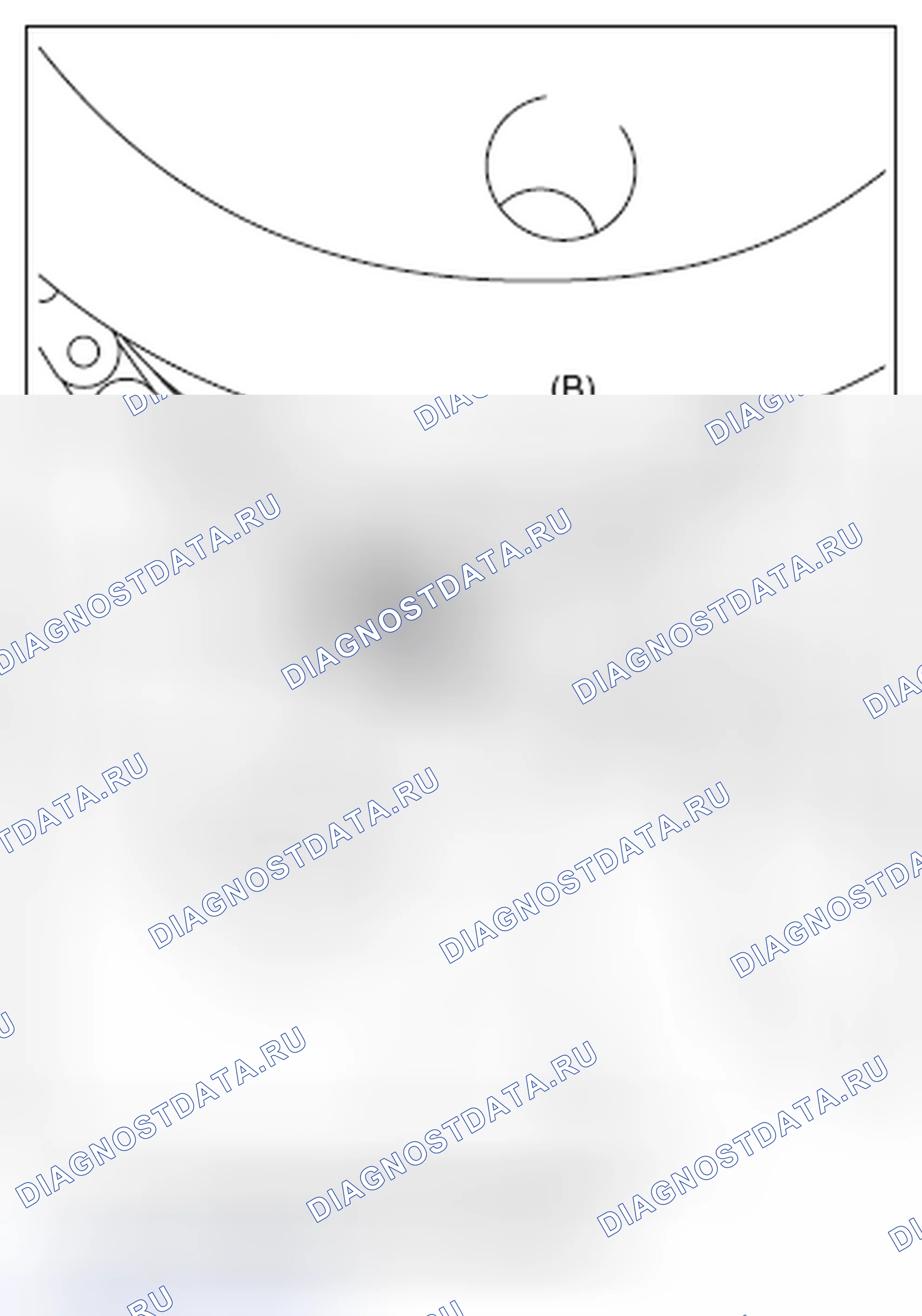 Рис. 571. Subaru Outback BR рестайлинг