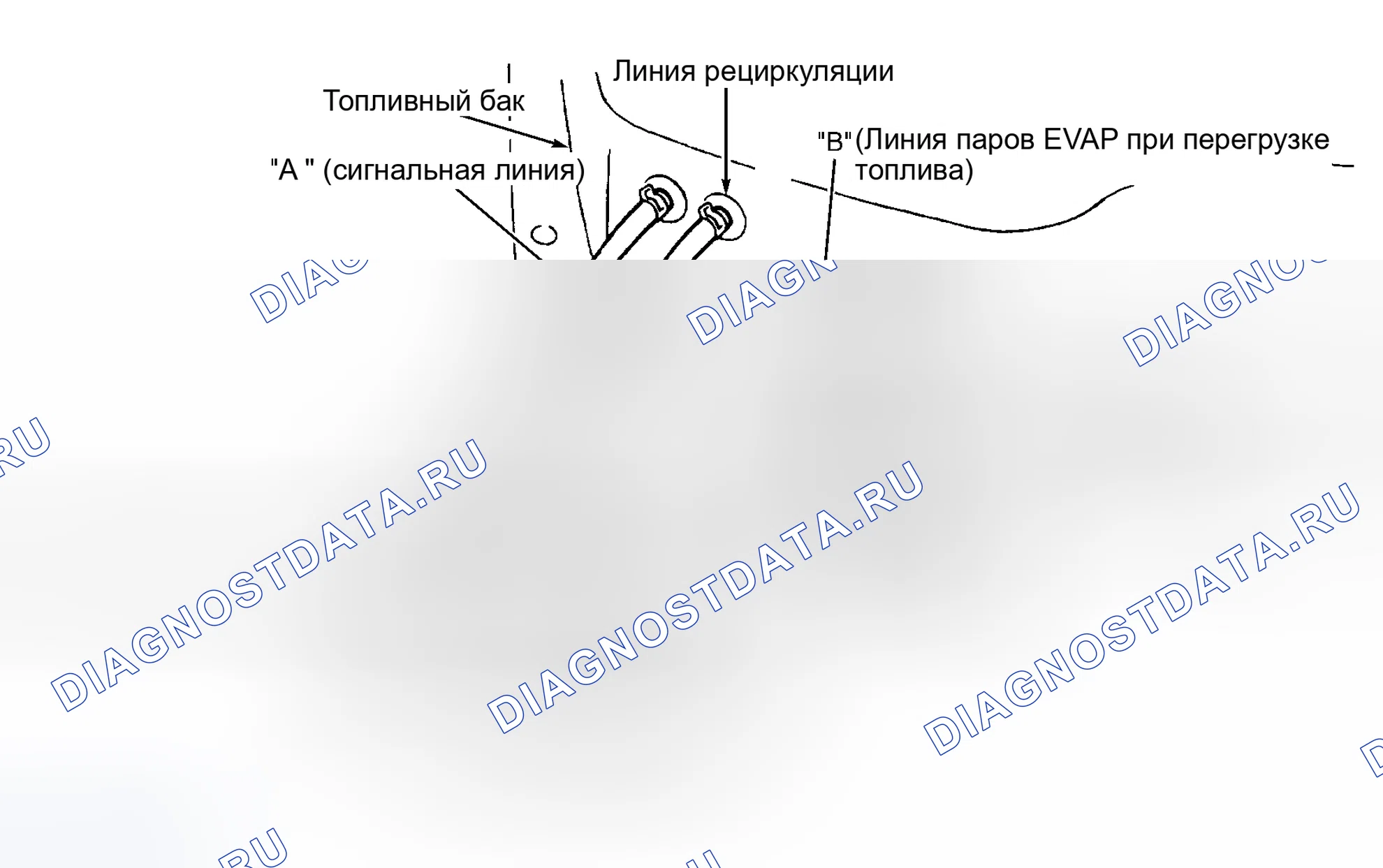 Рис. 43: Испытание регулирующего клапана системы заправки (Maxima и Sentra). Nissan Altima L30 рестайлинг