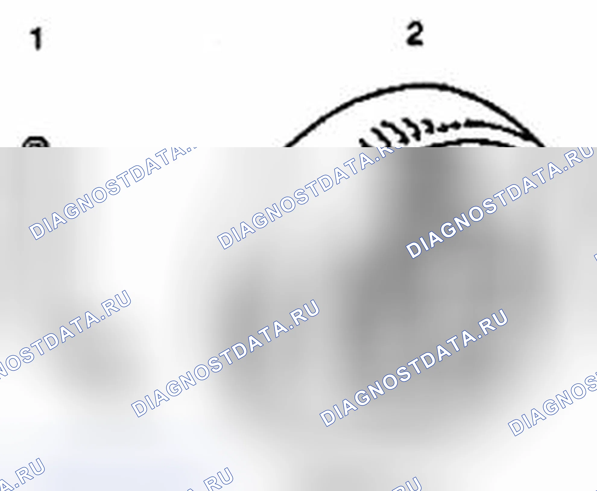 Рис. 7. Suzuki Kizashi I