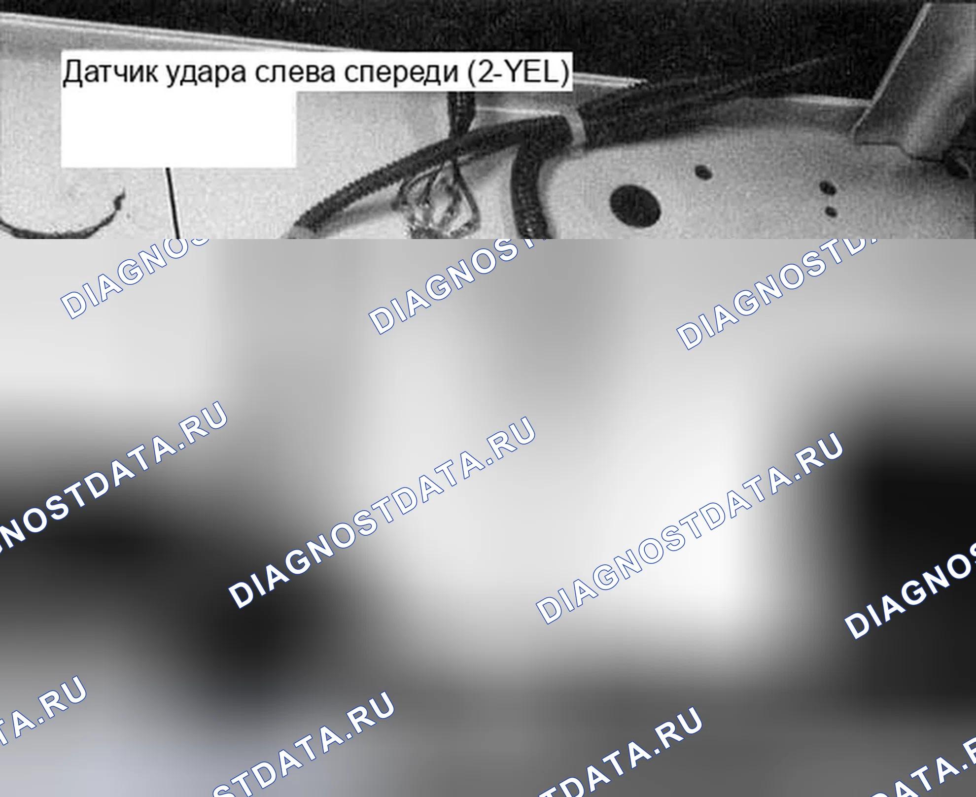 Рис. 293. Honda Accord VII рестайлинг