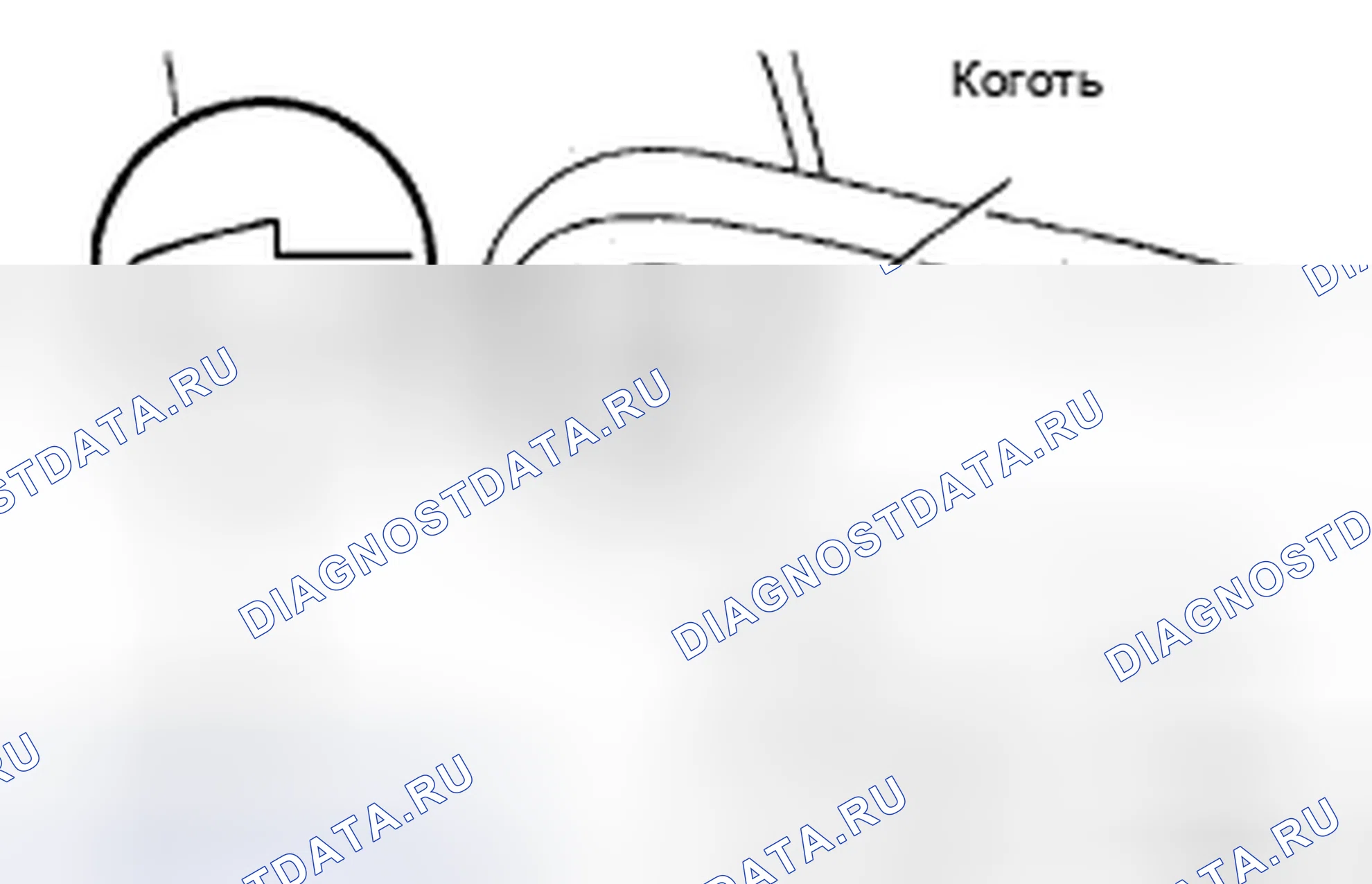 Рис. 24. Honda Accord IX