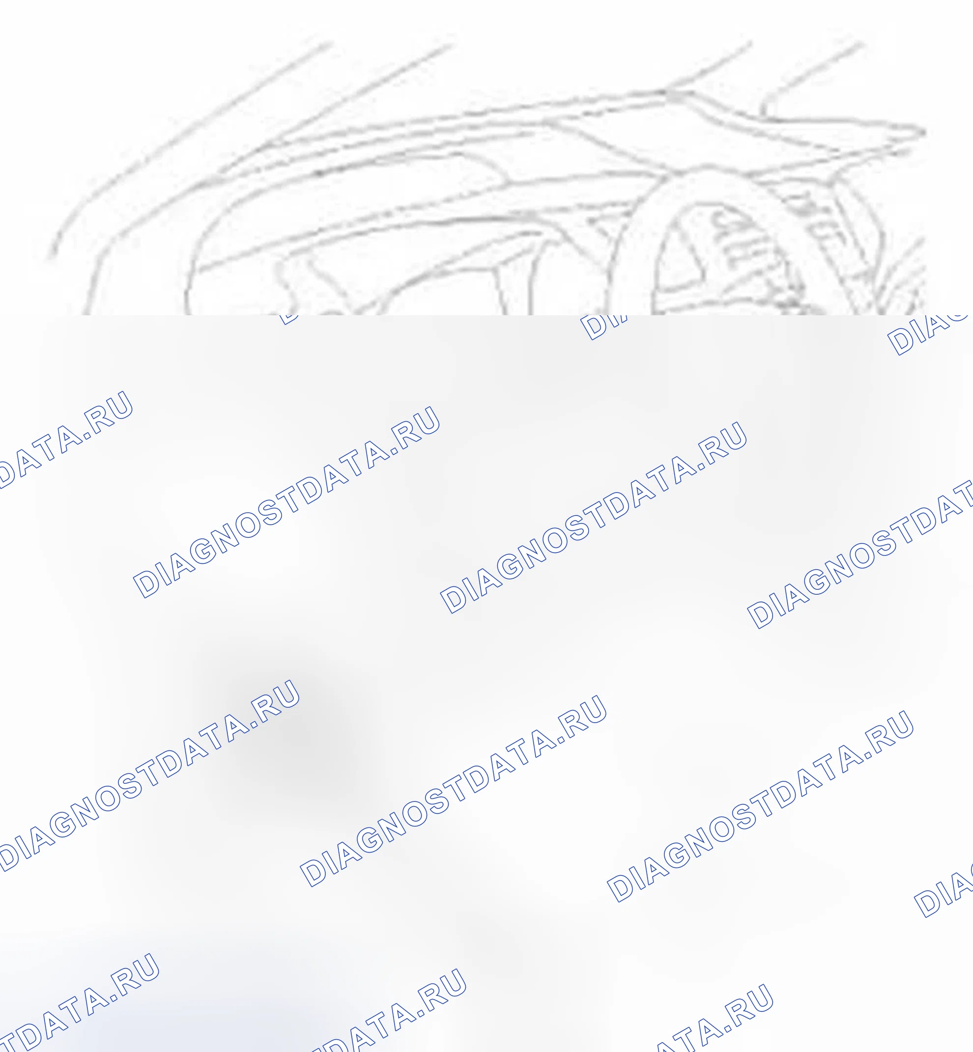 Рис. 793. Honda Civic IX