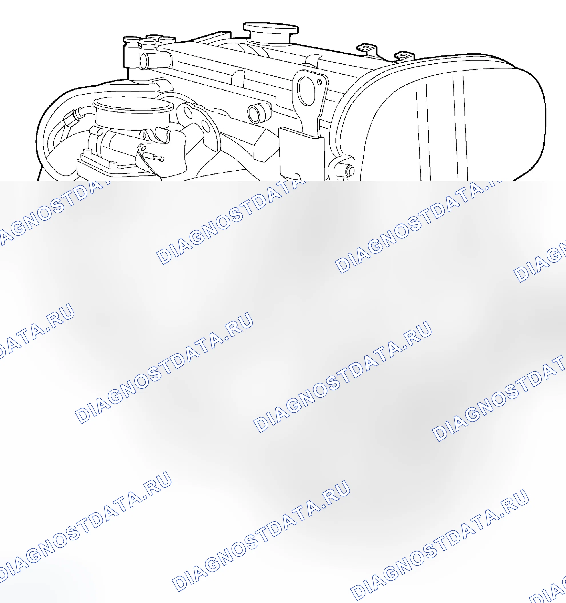 Рис. 32: Двигатель. Ford Focus I рестайлинг