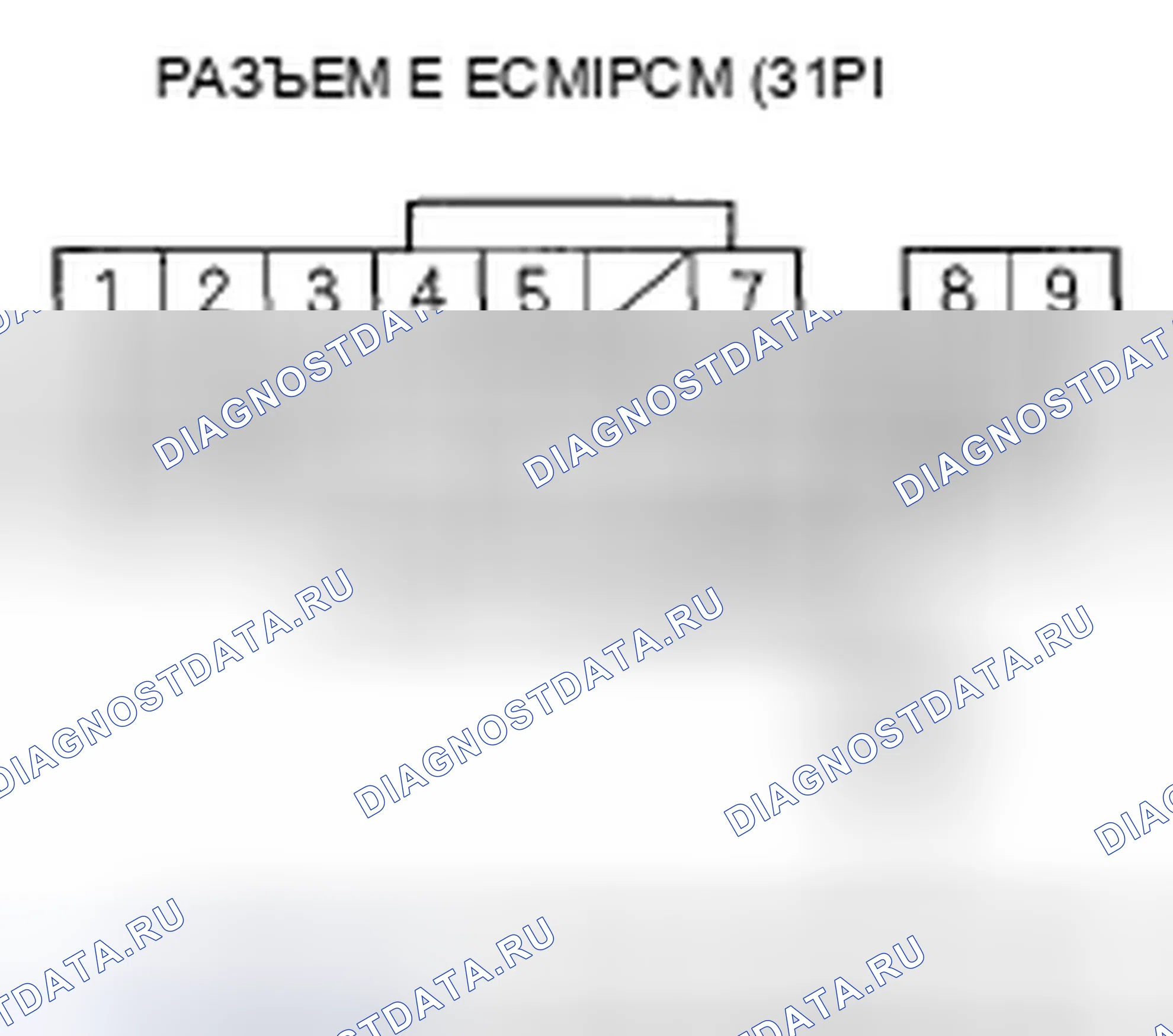 Рис. 45. Honda Element YH2 рестайлинг 2