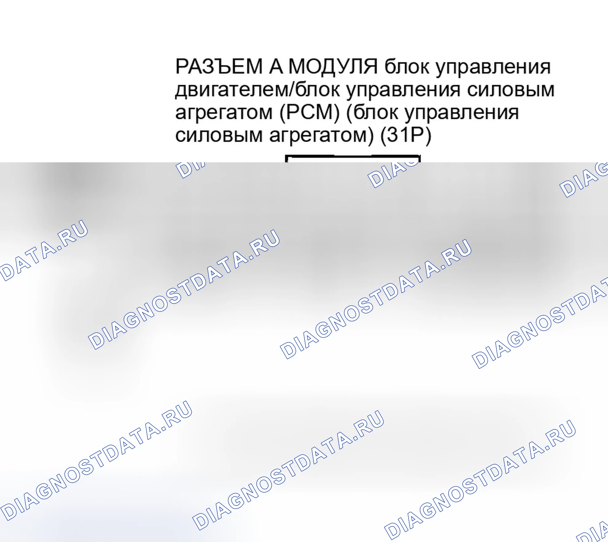 Рис. 78. Honda Accord VII рестайлинг