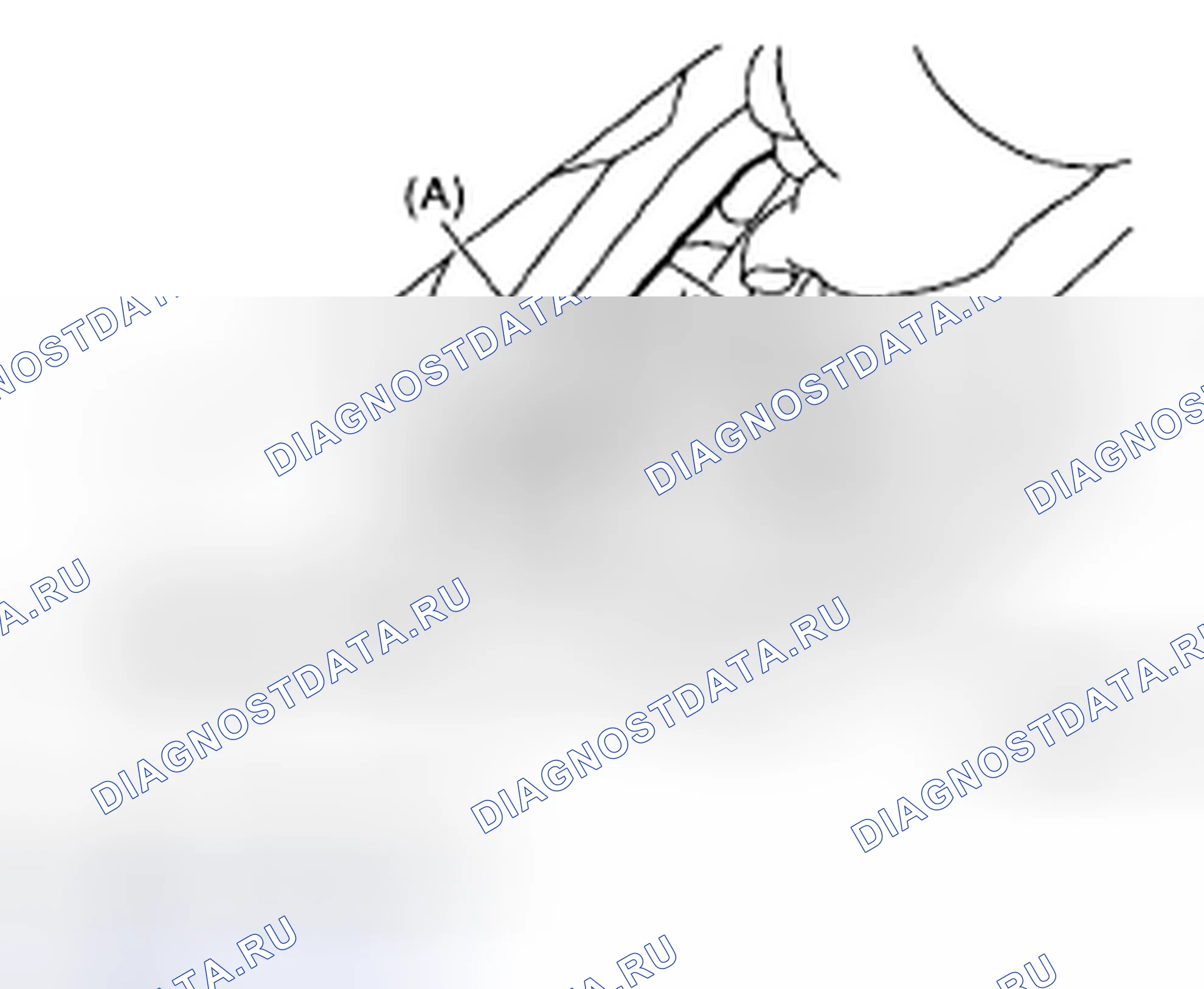 Рис. 51. Subaru Impreza WRX GD/GG рестайлинг 2