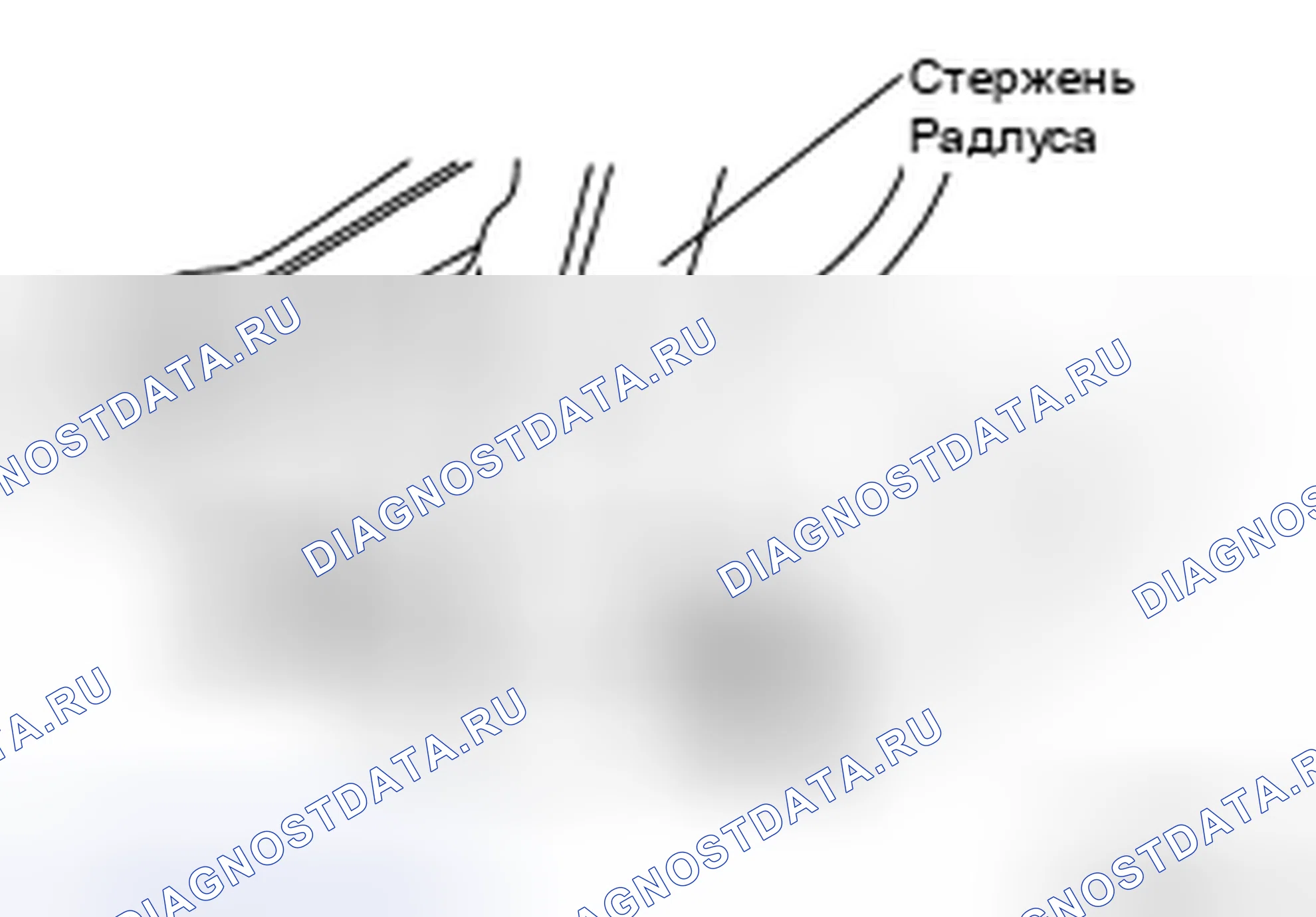 Рис. 72. Nissan X-Trail I