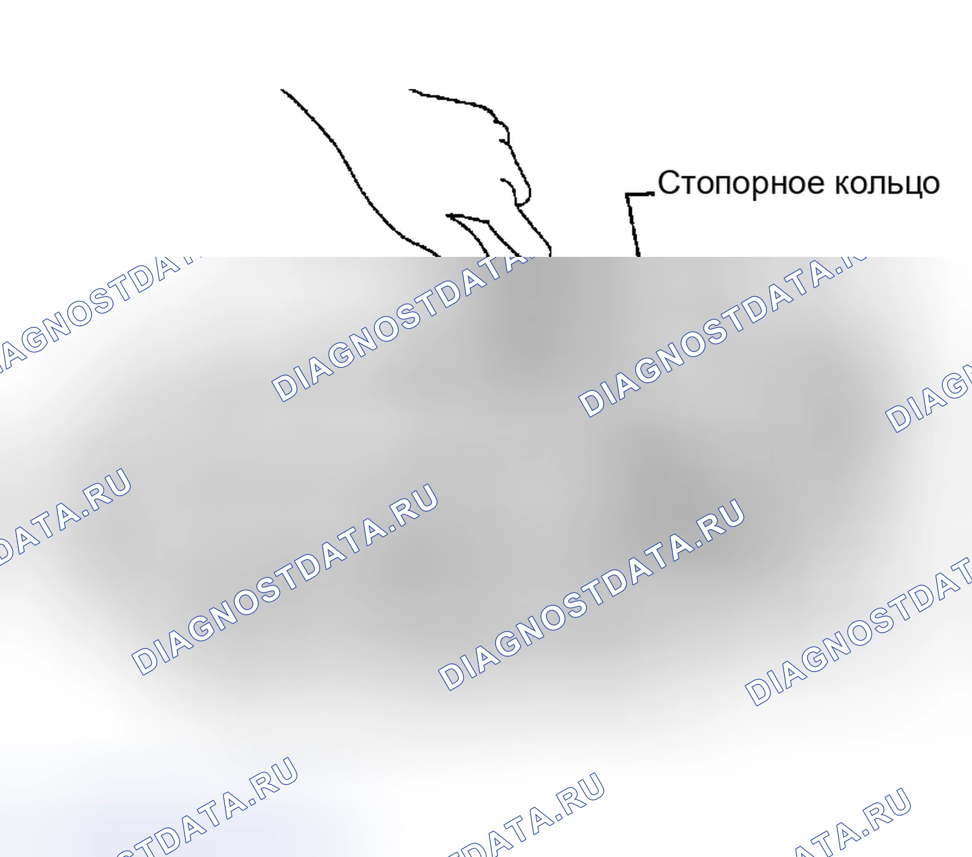 Рис. 235: РАЗБОРКА. Nissan Altima L31