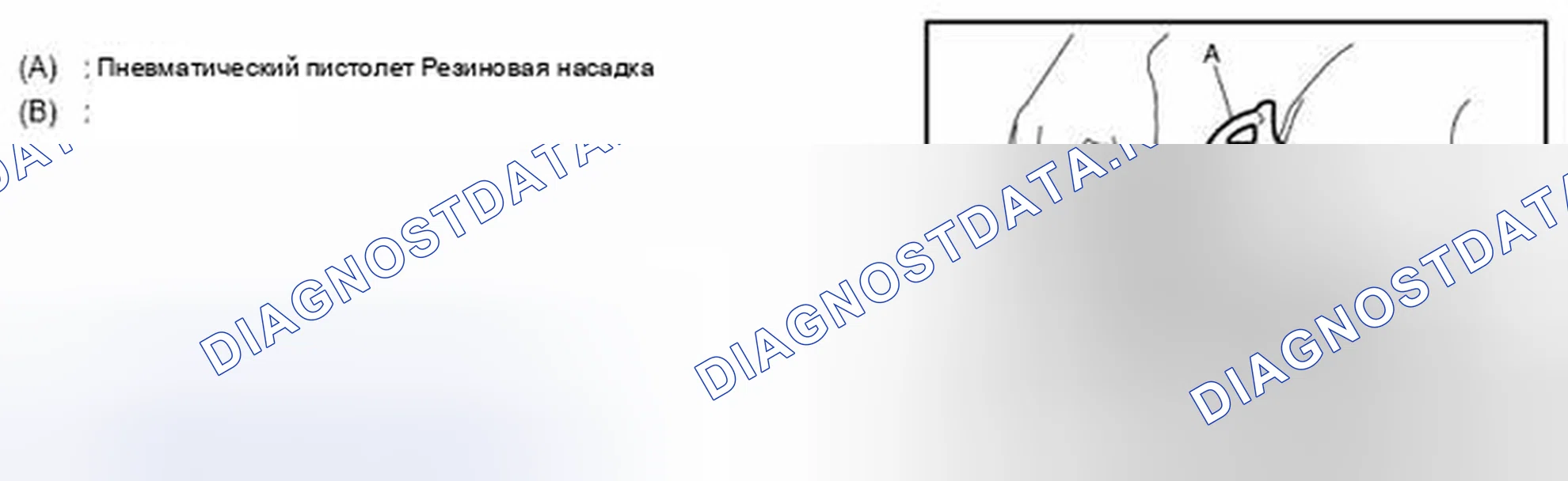 Рис. 118. Audi RS6 C8