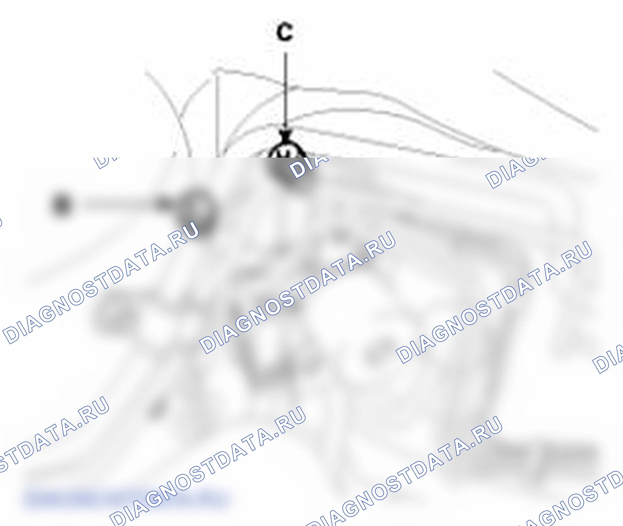Рис. 31. Kia Soul I