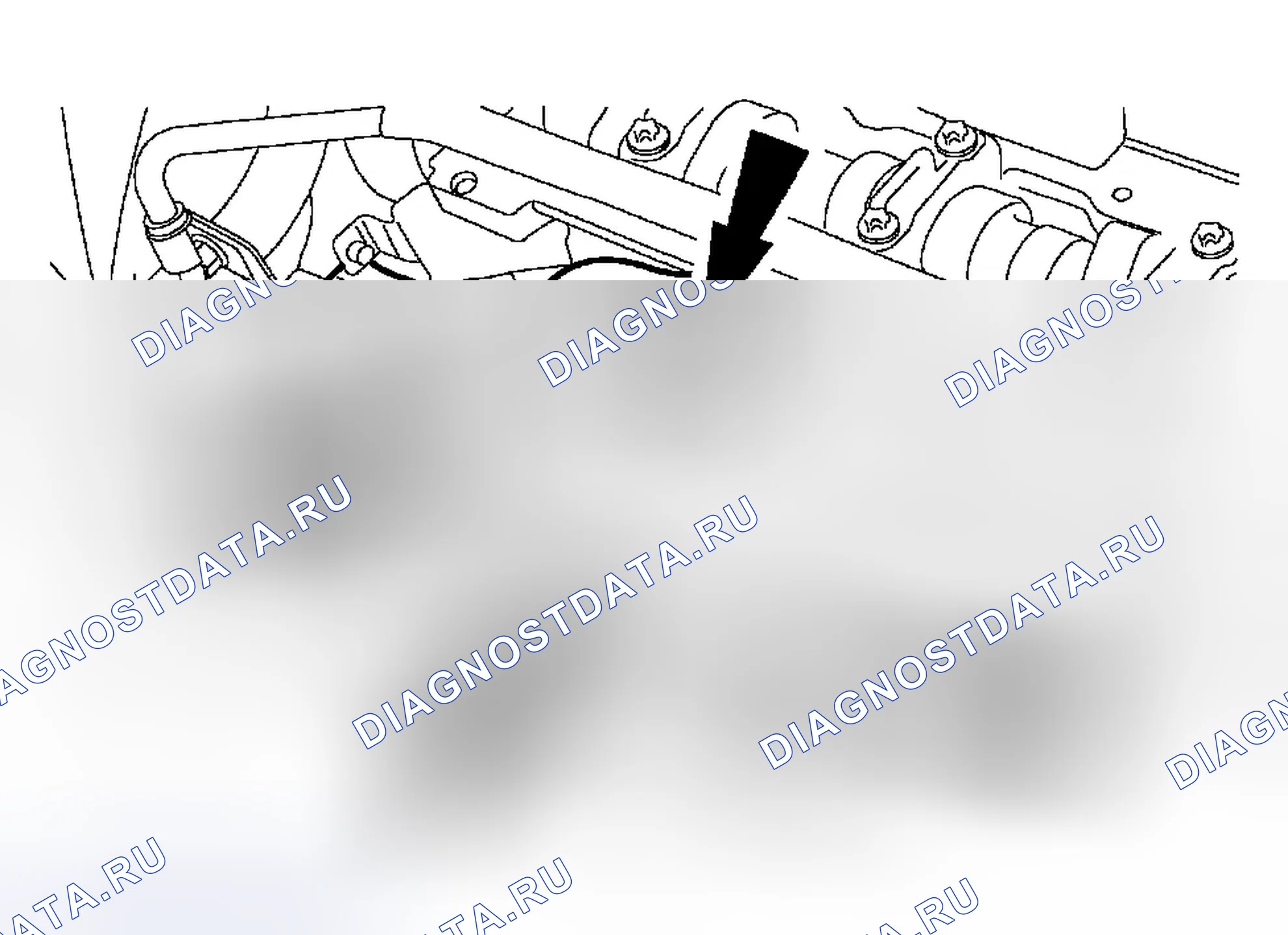 Рис. 1031. Ford Focus I рестайлинг