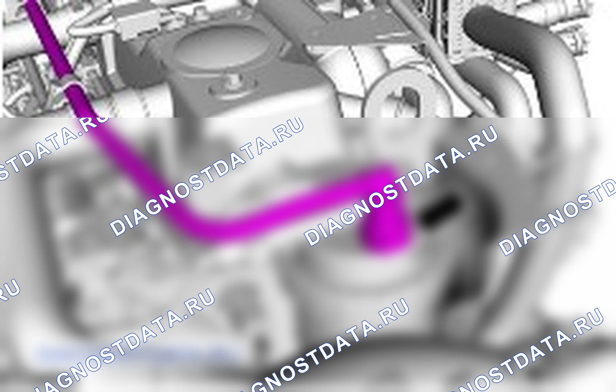 топливный фильтр — 1.8L Duratorq-TDCi (Lynx) Дизельное топливо, автомобили без: Датчик содержания воды в топливе: описание и работа. Ford Mondeo IV