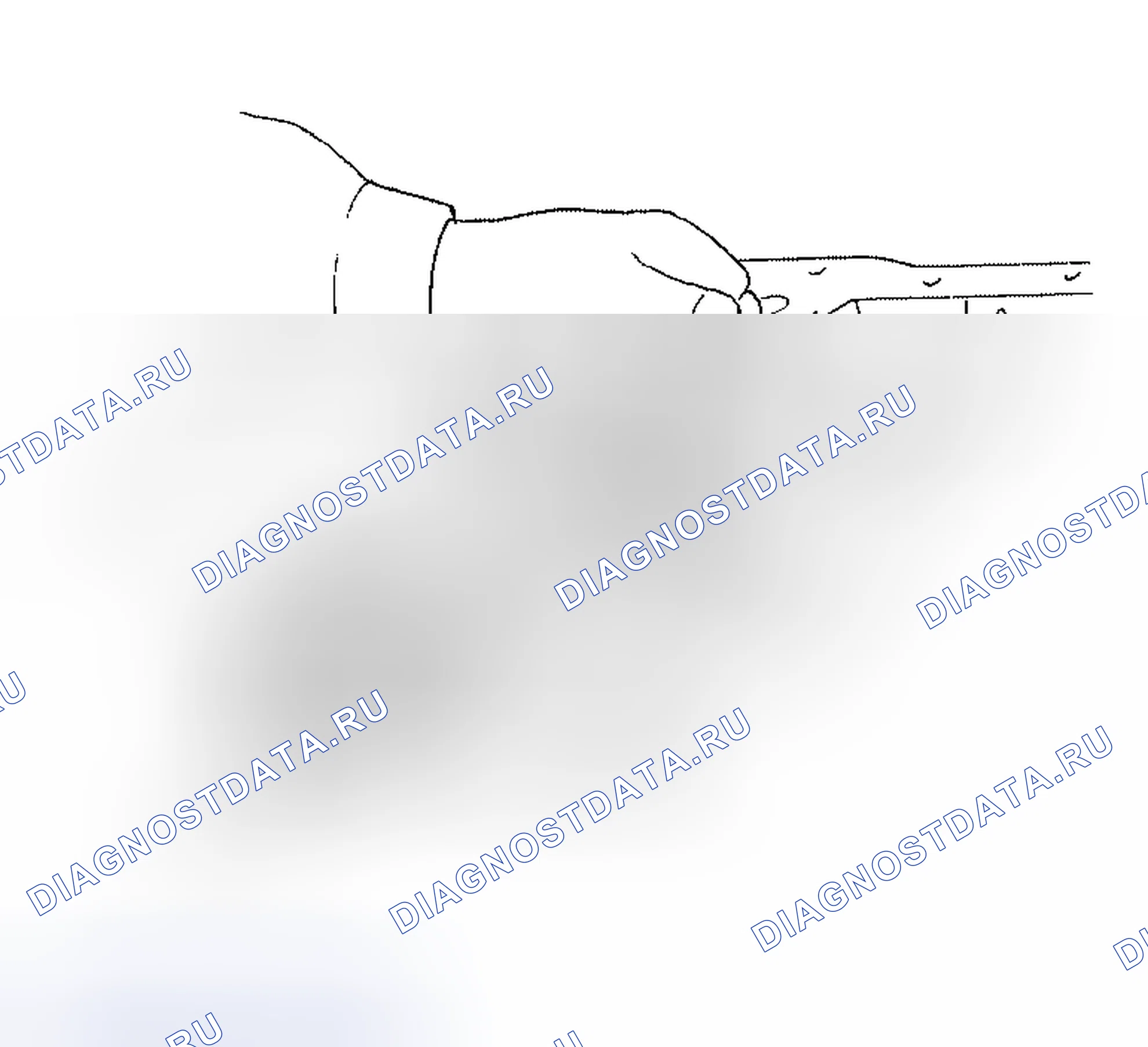 Рис. 402. Honda Odyssey (North America) I