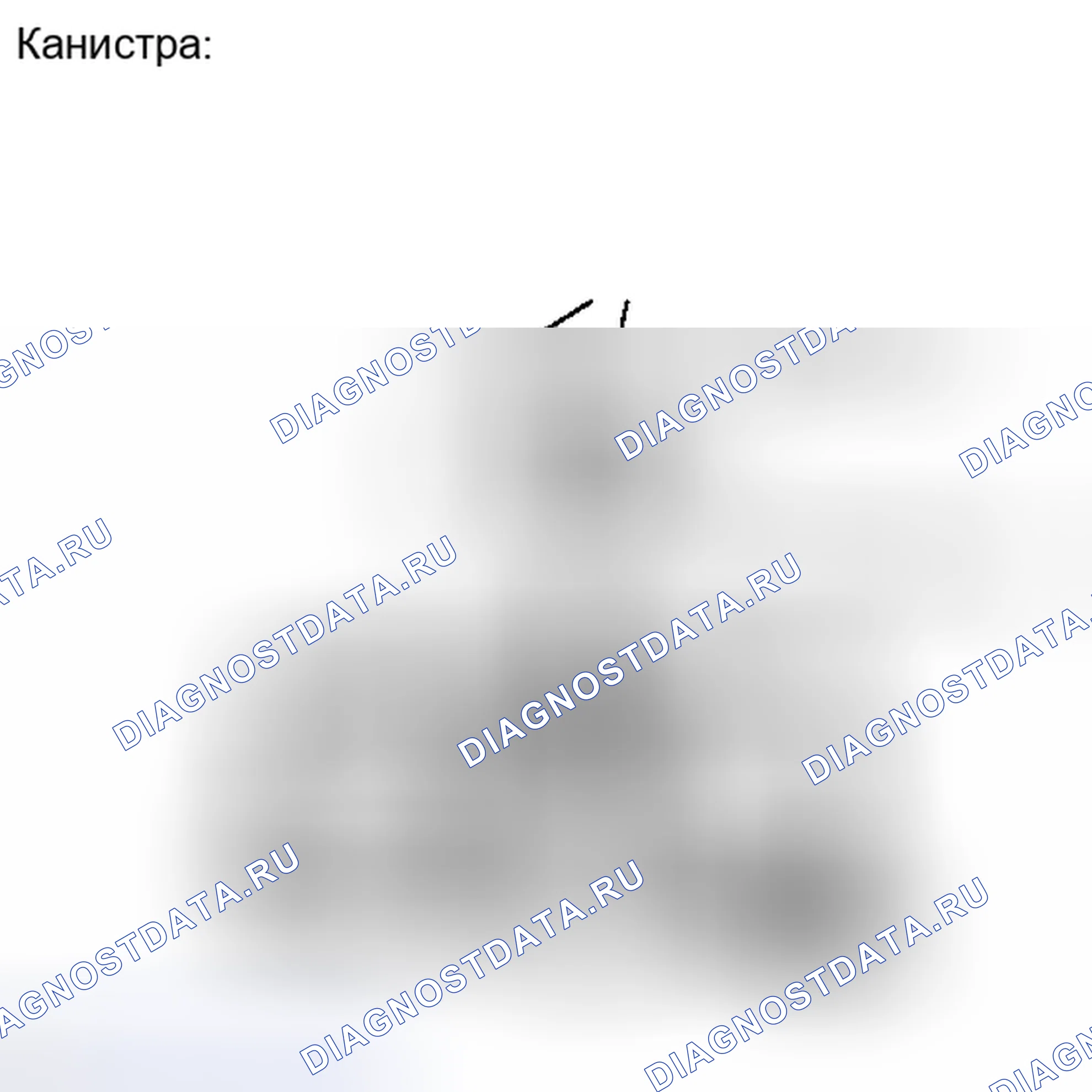 Рис. 368. Haval Xiaolong I