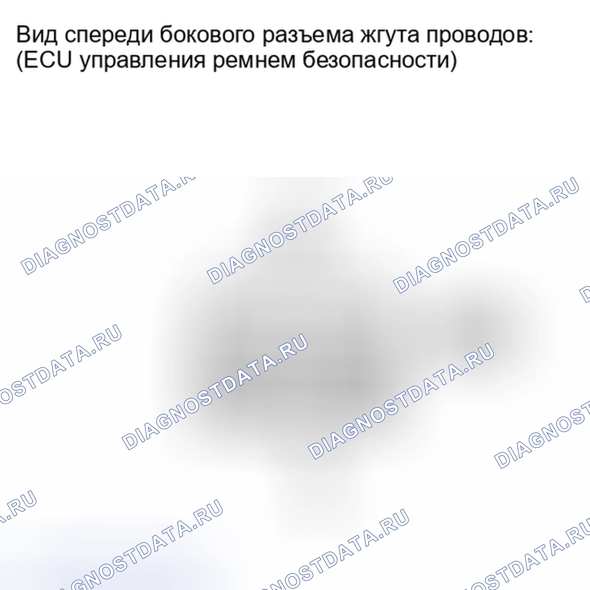 Рис. 79. Lexus IS F I