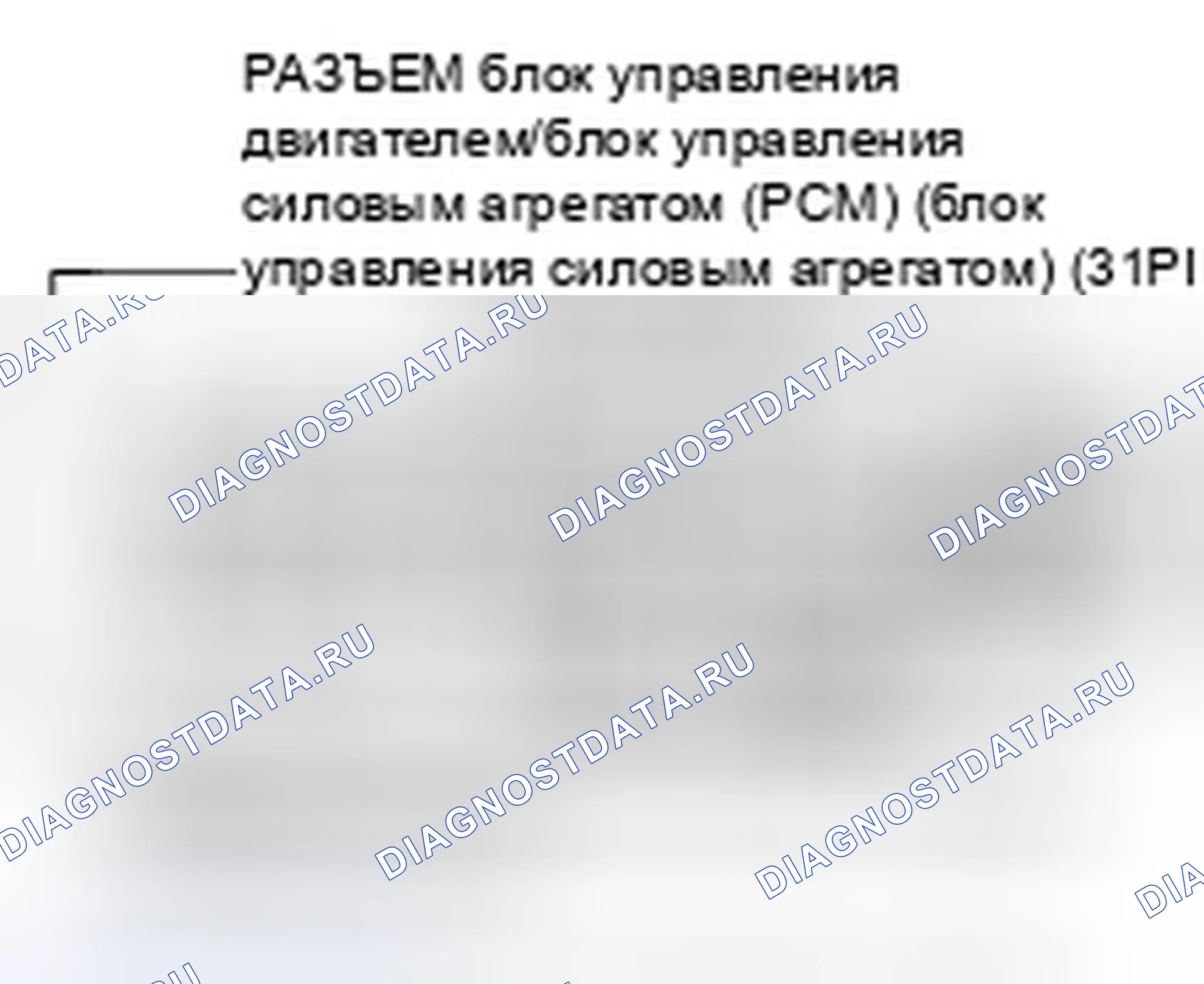 Рис. 43. Honda Element YH2 рестайлинг 2