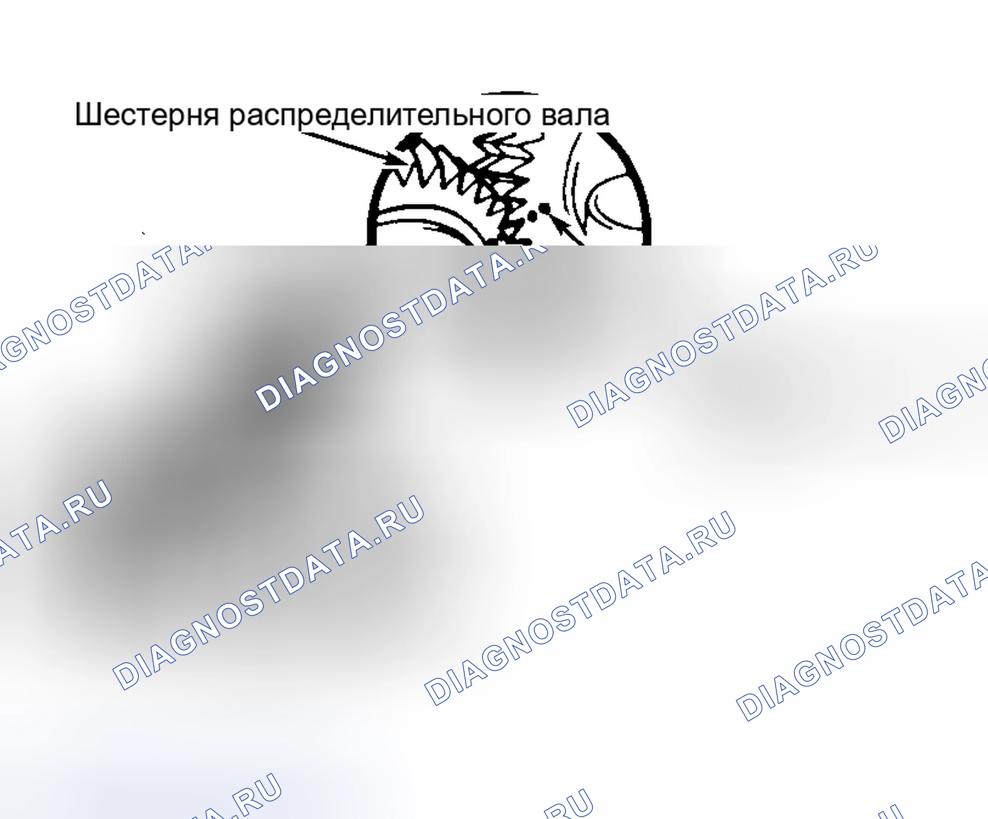 Рис. 16: Установка. Honda Accord X рестайлинг