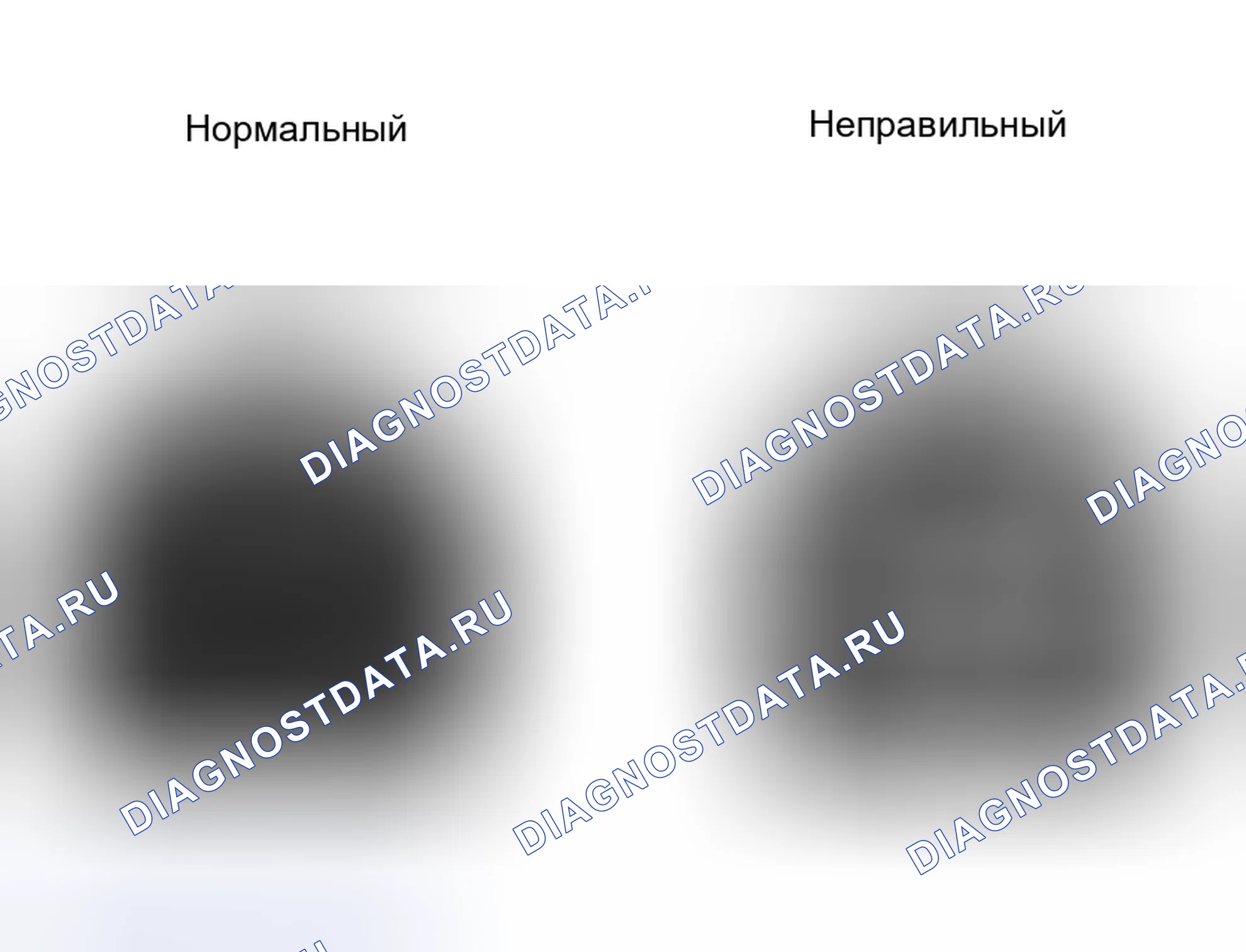 Рис. 5. Toyota Corolla IX рестайлинг
