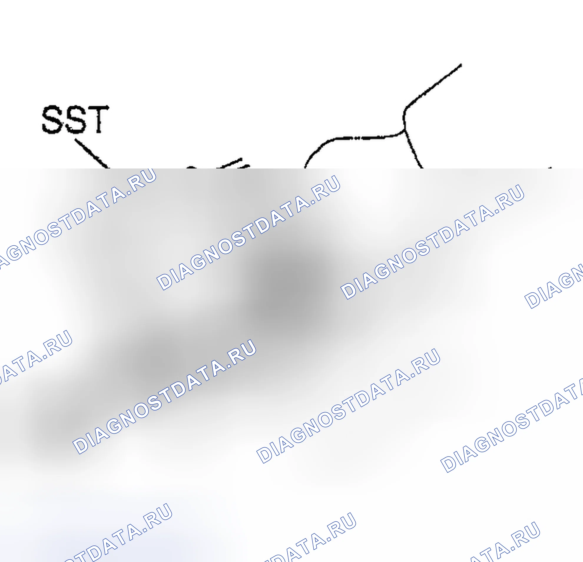 Рис. 18. Toyota Sequoia I