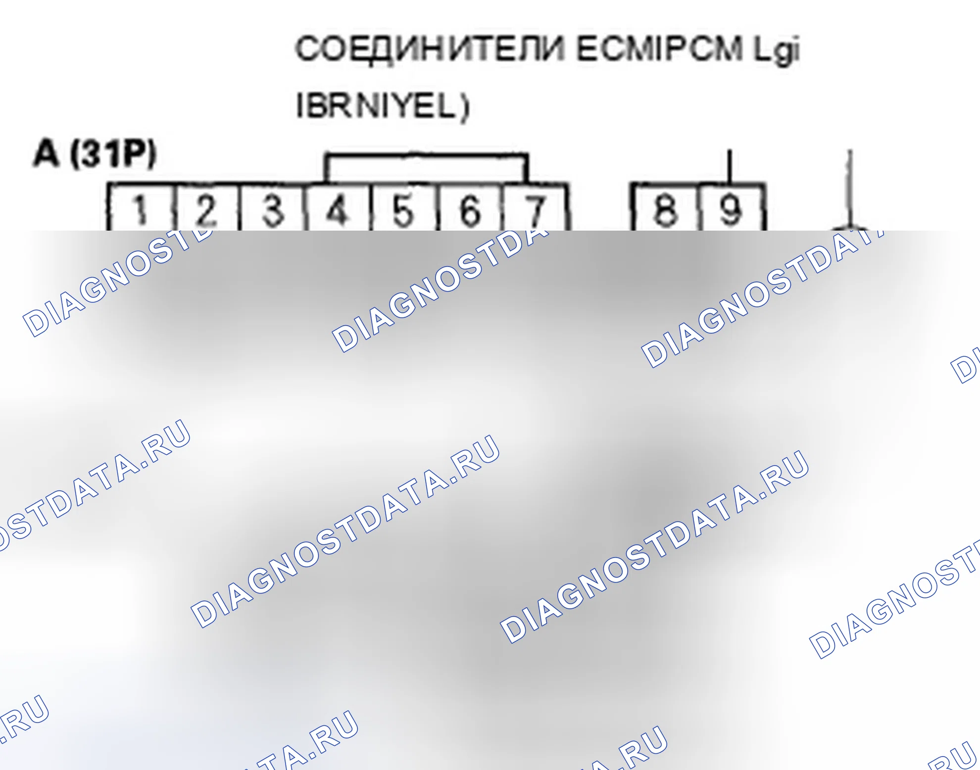 Рис. 3: Модель '04. Acura TSX I