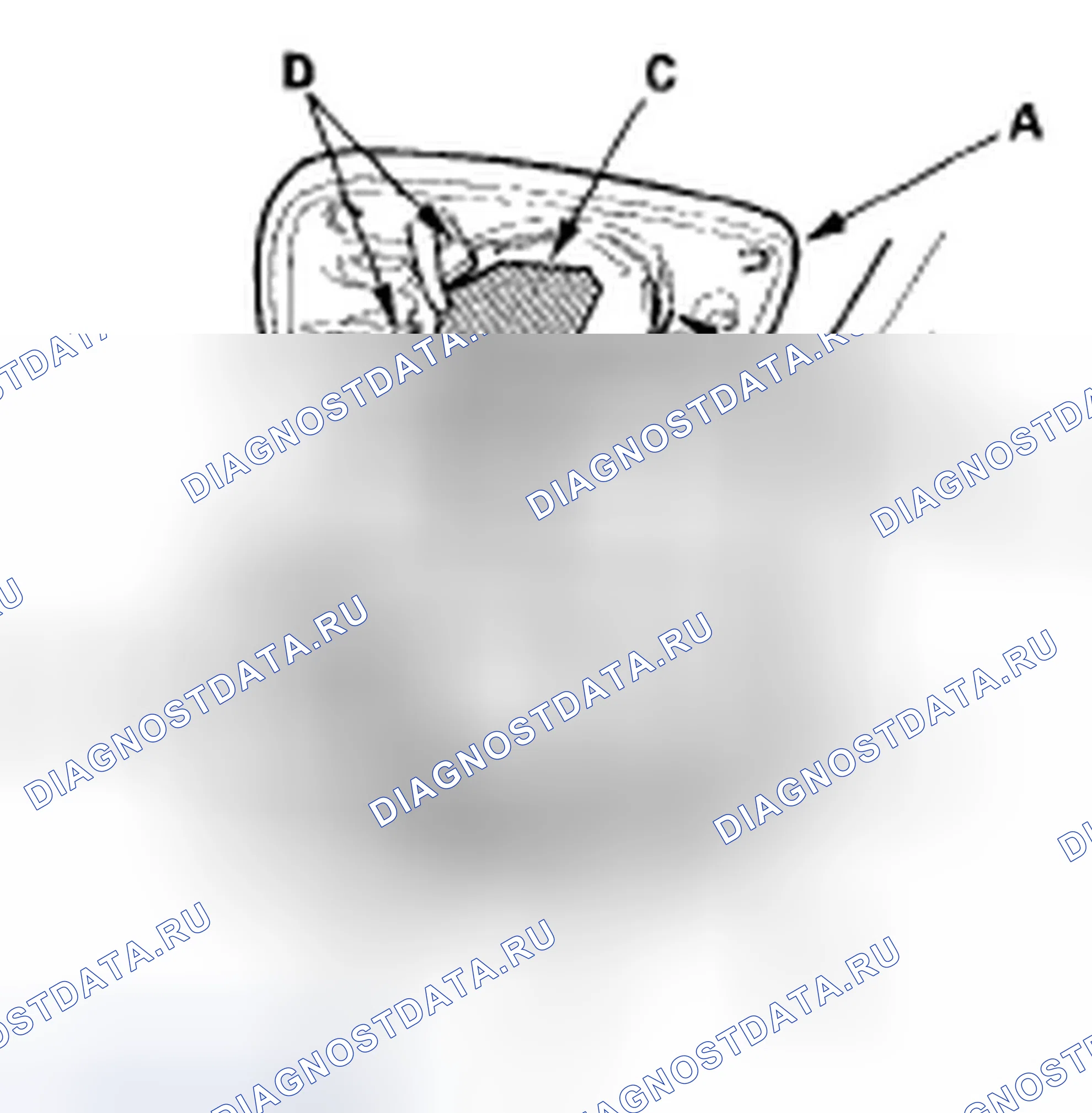 Рис. 11. Honda Civic VIII рестайлинг