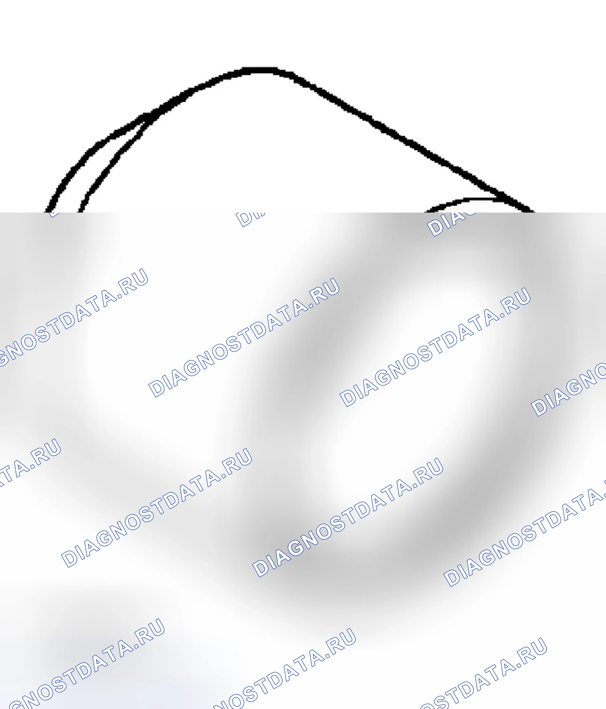 Рис. 2. Dodge Pickup R1500 