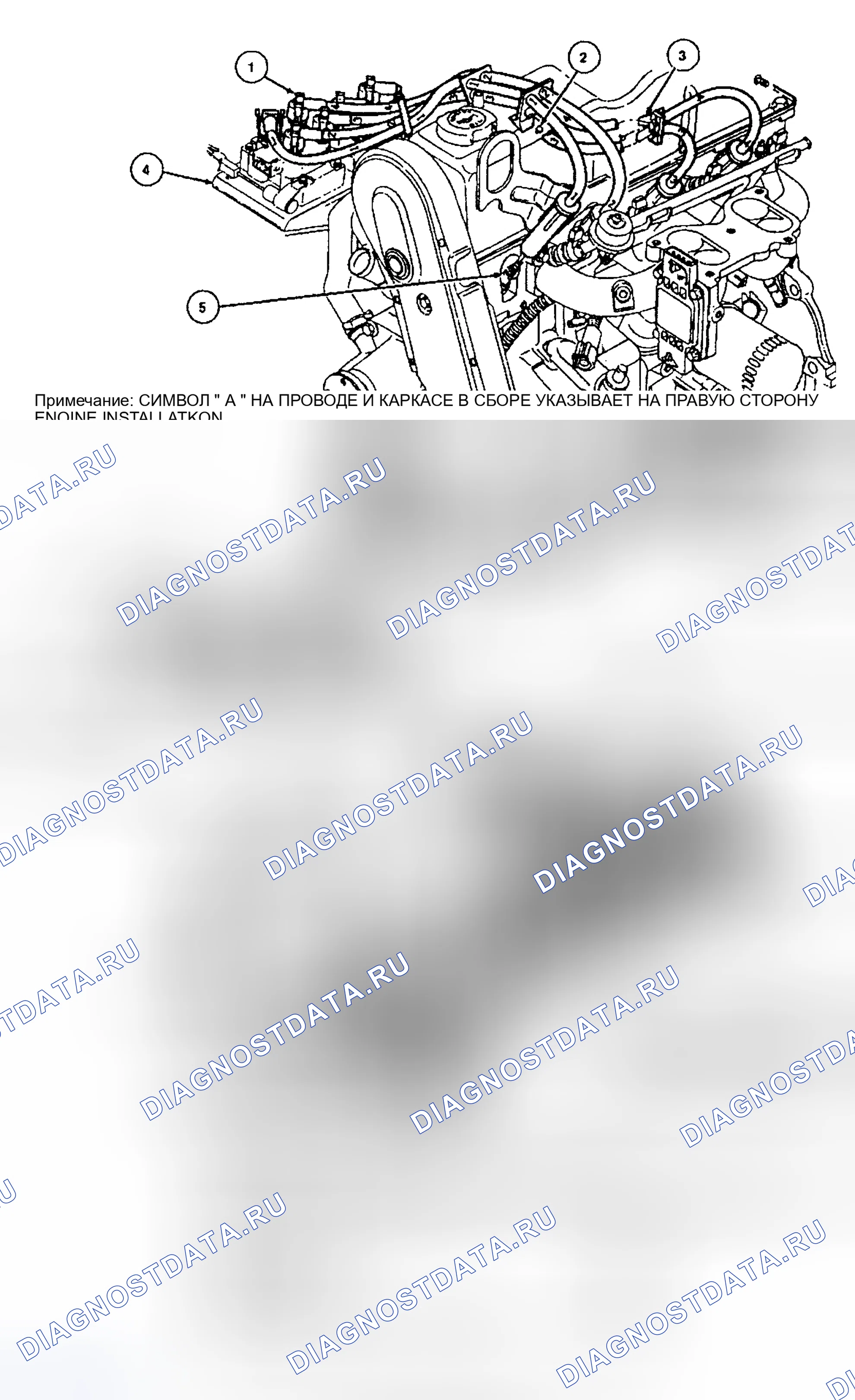 Рис. 8: РАЗВОДКА ПРОВОДОВ СВЕЧИ ЗАЖИГАНИЯ (2.3L Ohc). Ford Escort V рестайлинг