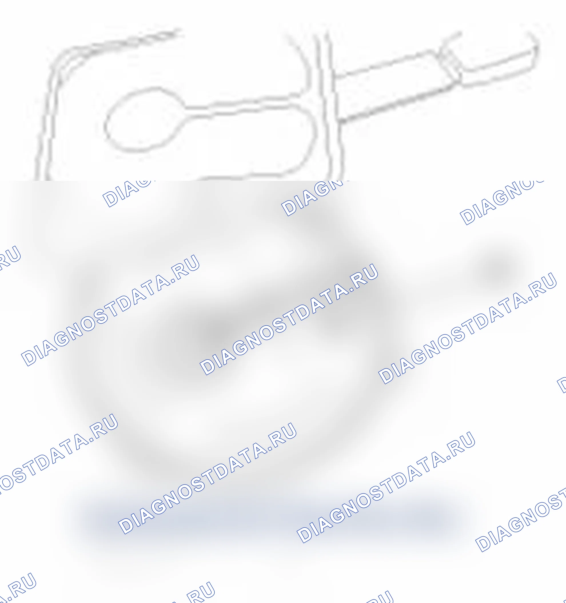 Рис. 58. Hyundai Santa Fe II рестайлинг