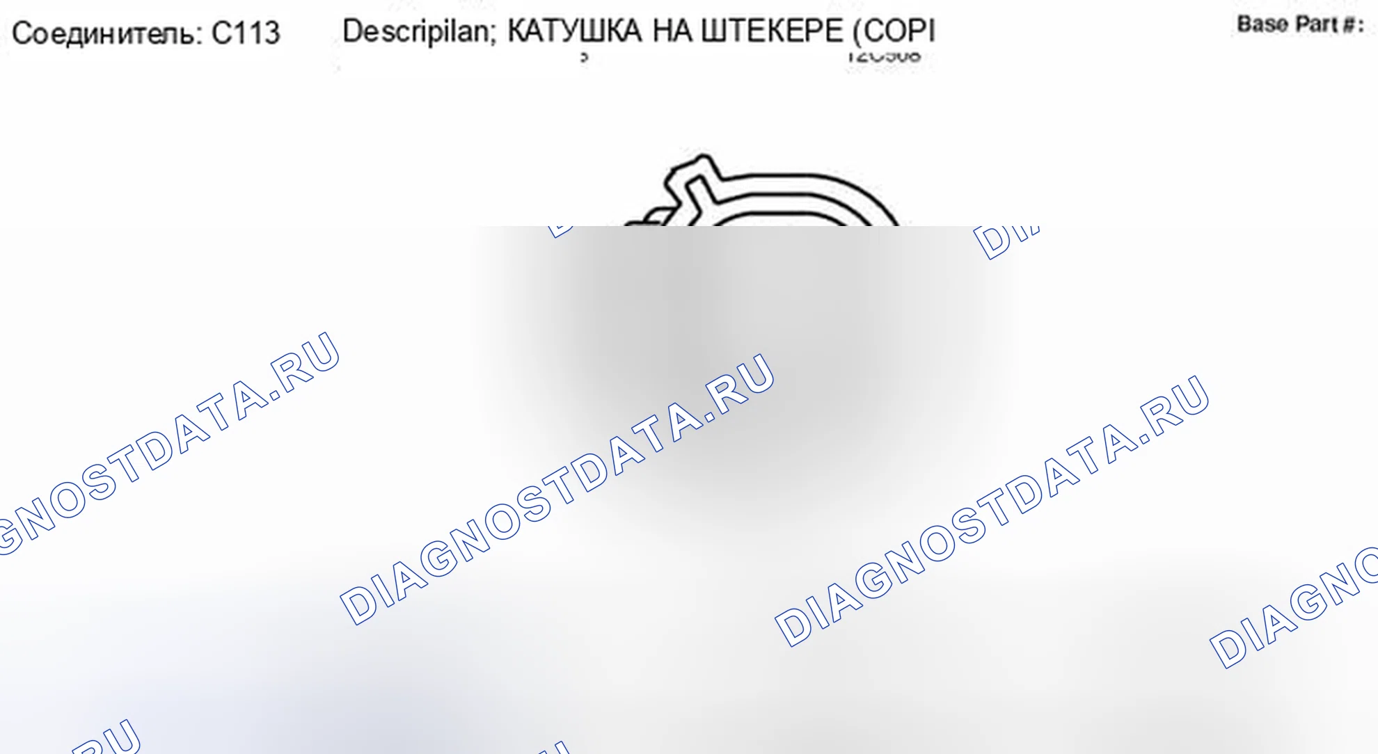 Рис. 14: Вид с торца разъема катушки на штекере 3 (C113). Hyundai Lafesta I рестайлинг