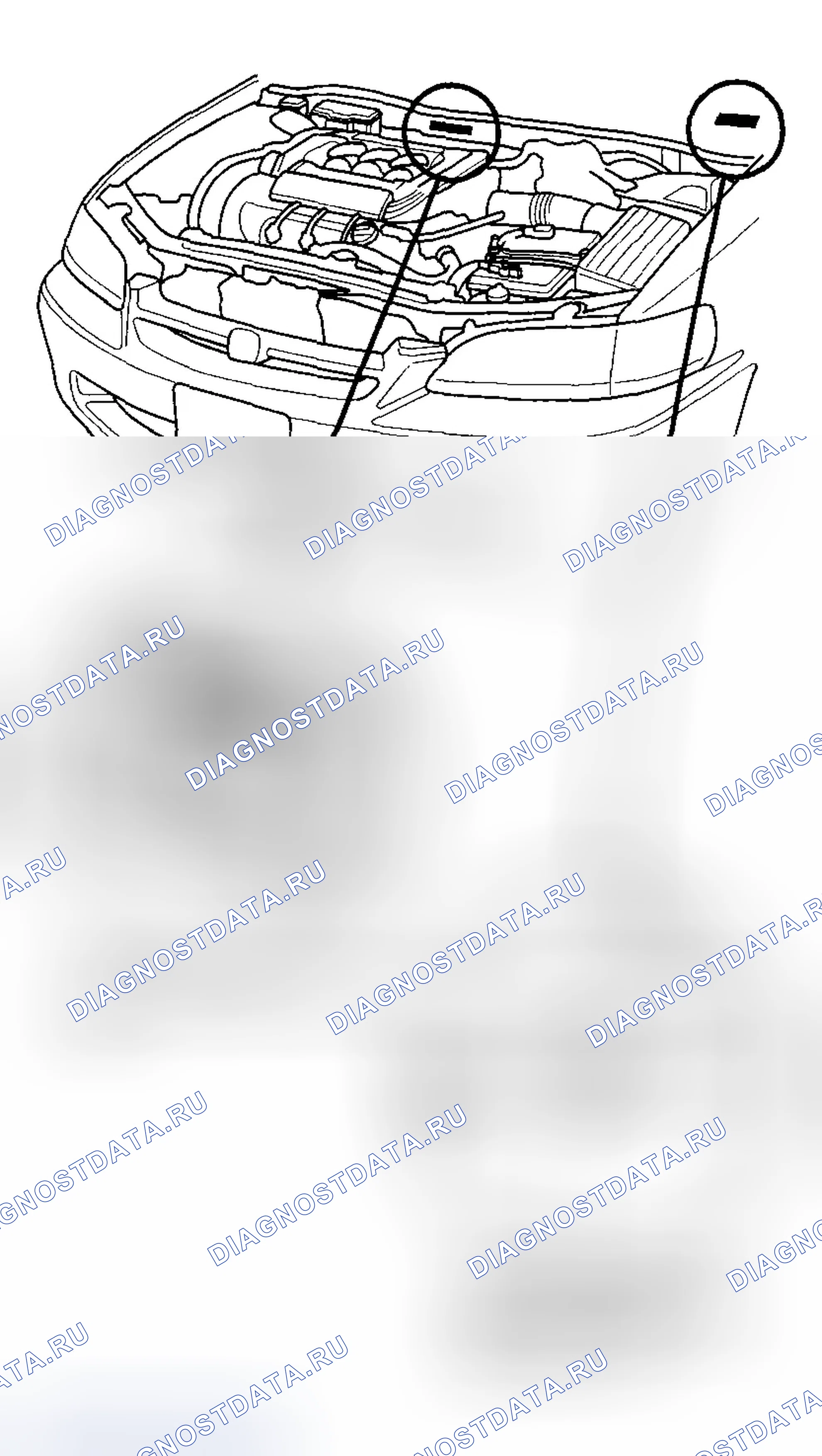 Рис. 50: Расположение идентификационных номеров. Honda Accord VI