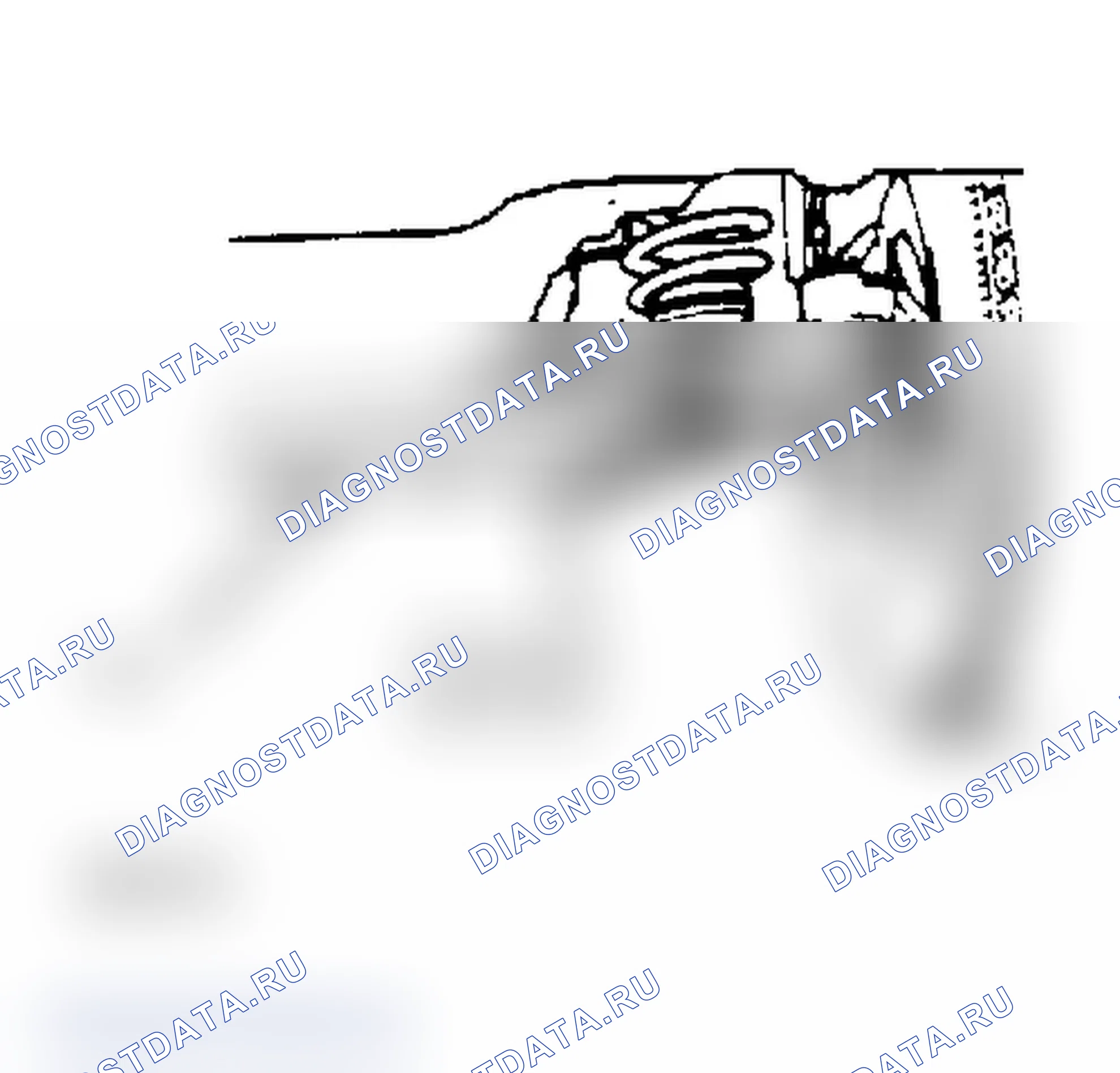 Рис. 4. Ford RV Cutaway E350 