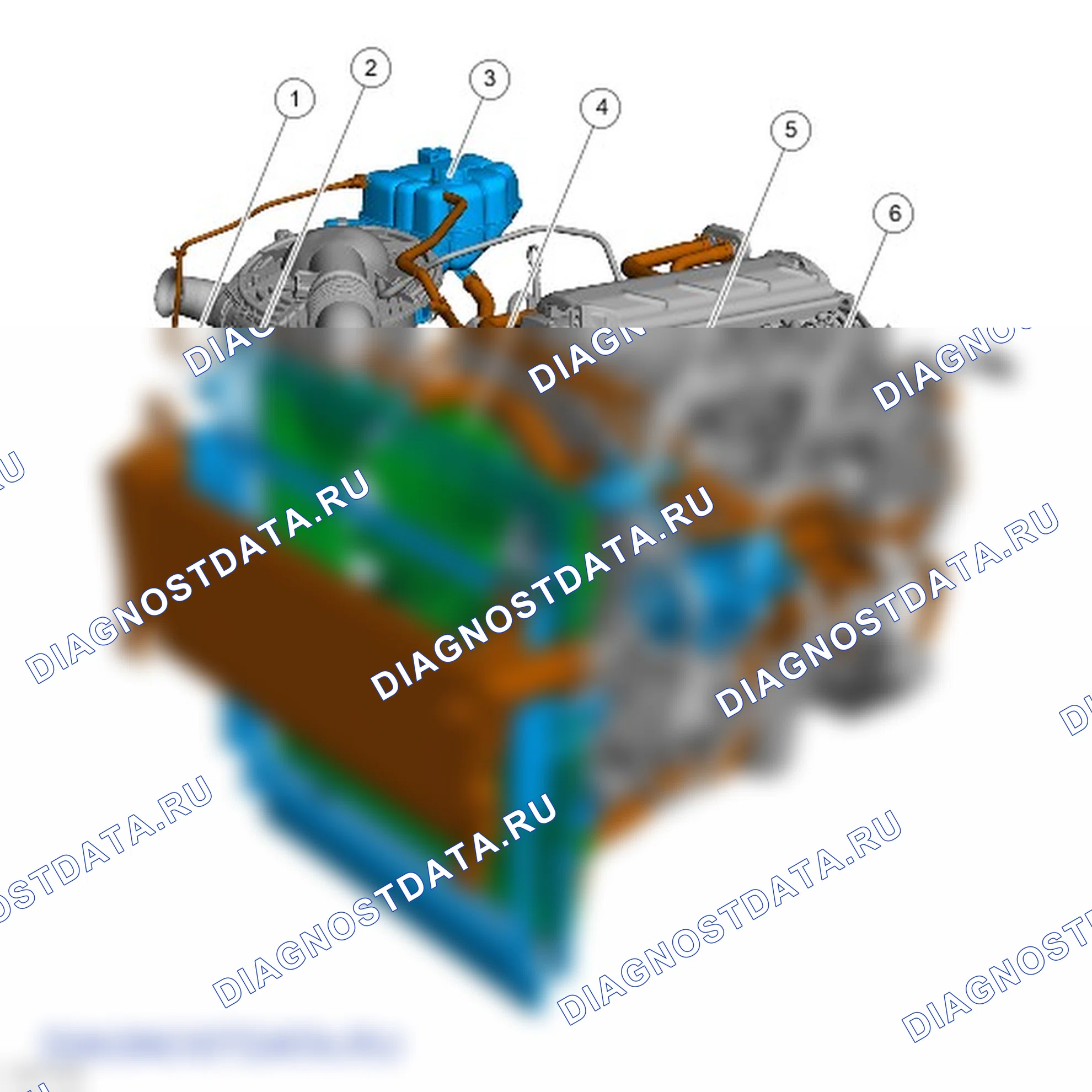 Охлаждение двигателя: описание и работа. Ford Ranger T6