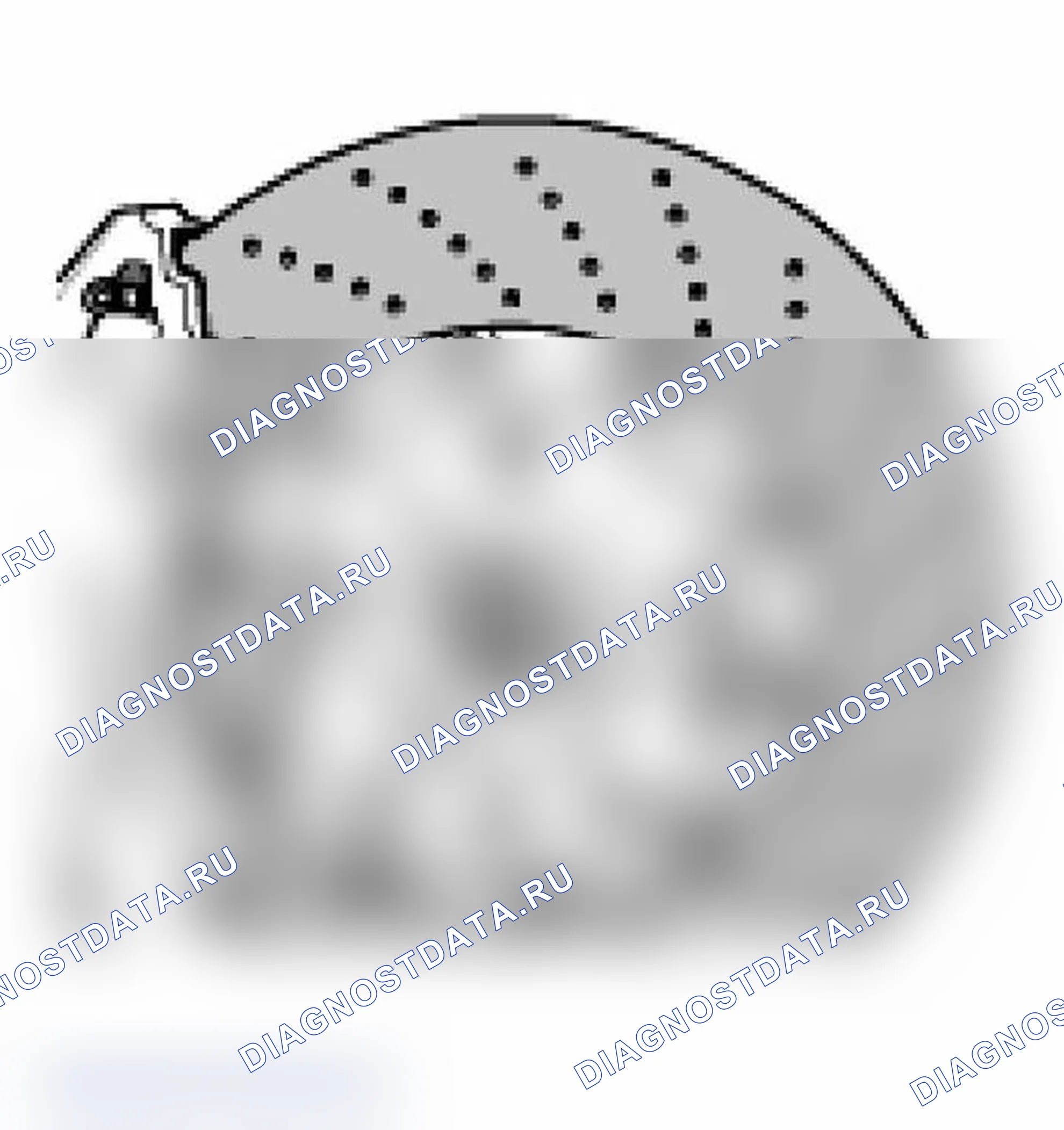 Рис. 9. Porsche 911 Carrera 996 рестайлинг