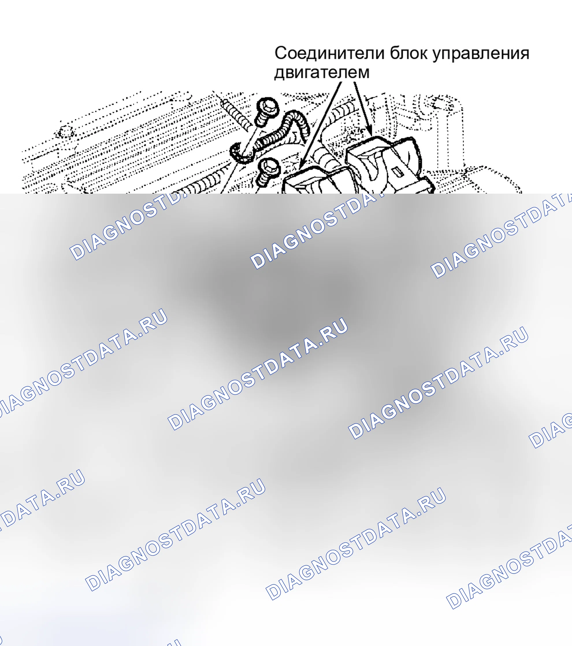 Рис. 1. Kia Rio I
