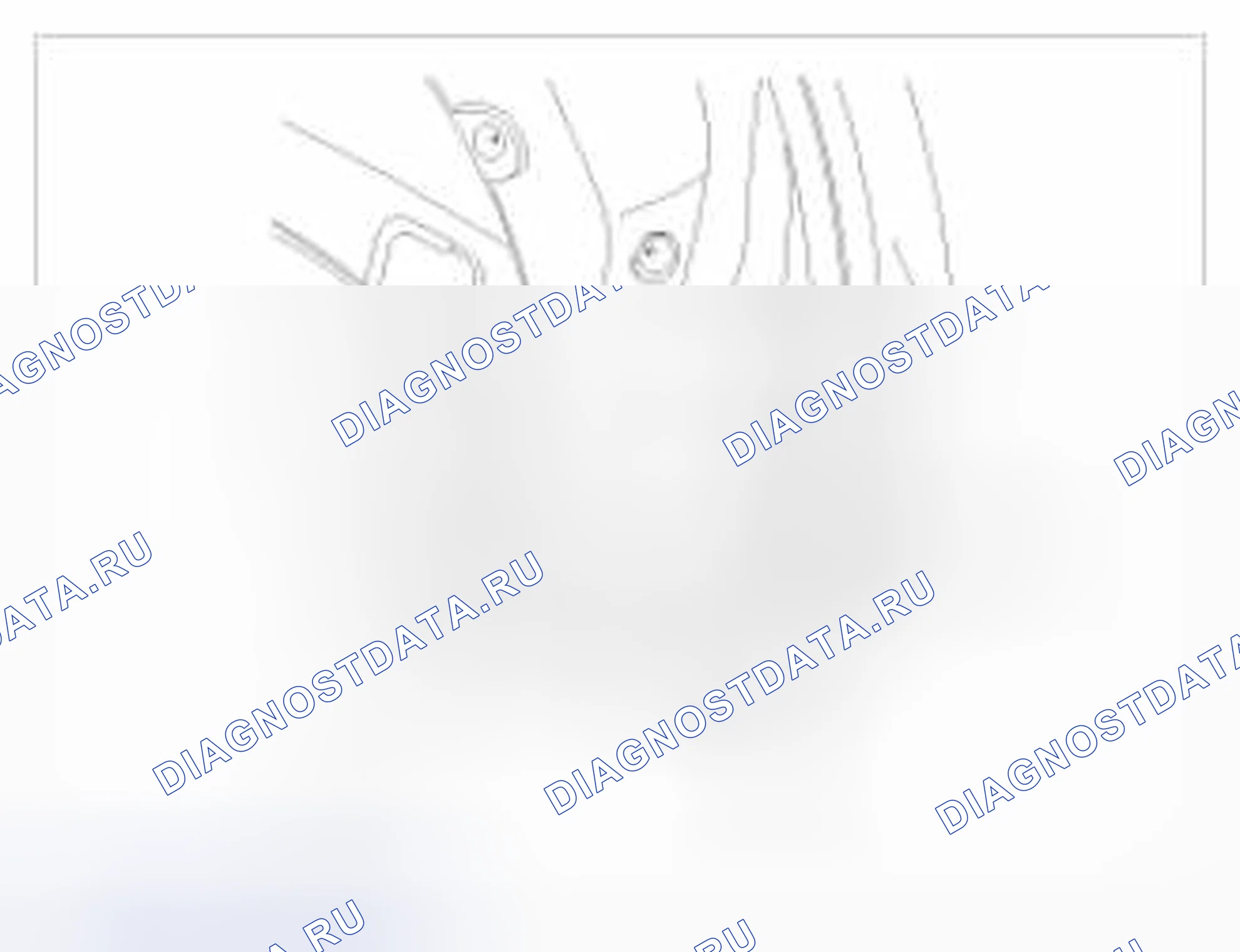 Рис. 22. BMW 6 серия F06/F13/F12