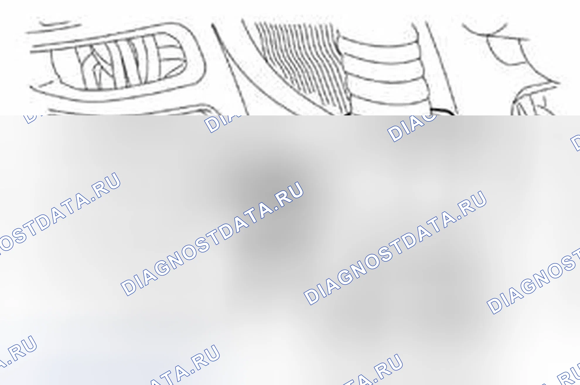 Рис. 669. Ford Edge I рестайлинг