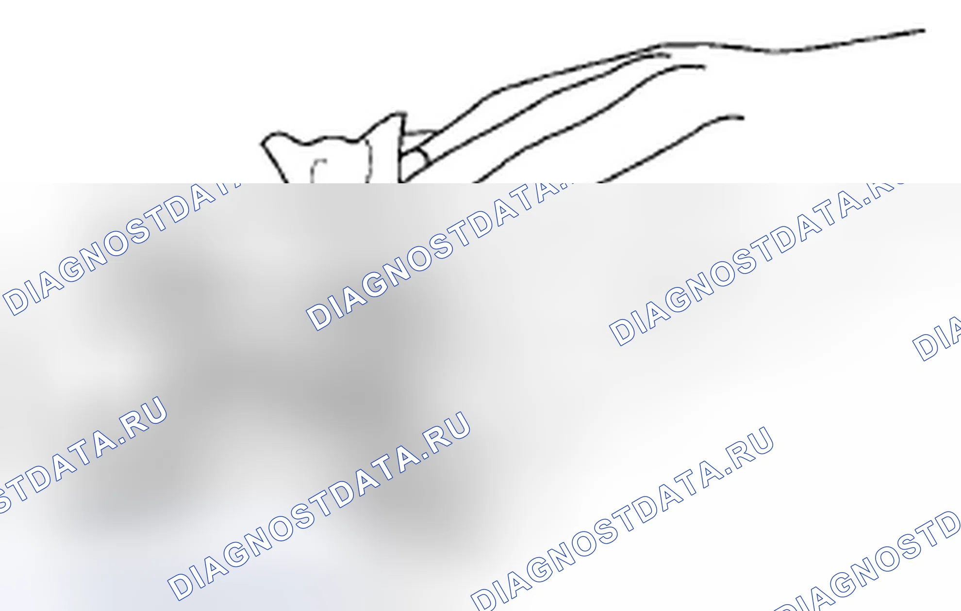 Рис. 153. Honda Civic VIII рестайлинг