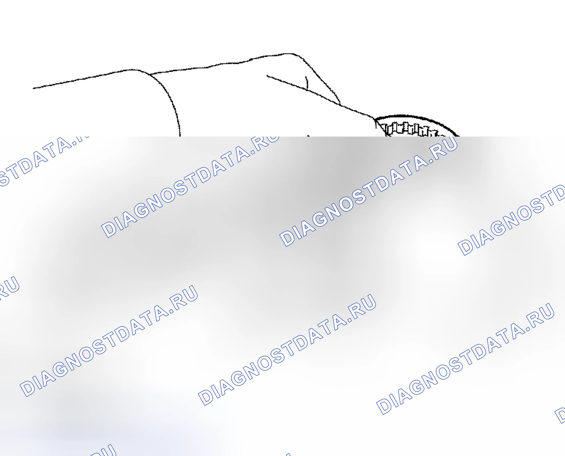 Рис. 79. Scion xB I
