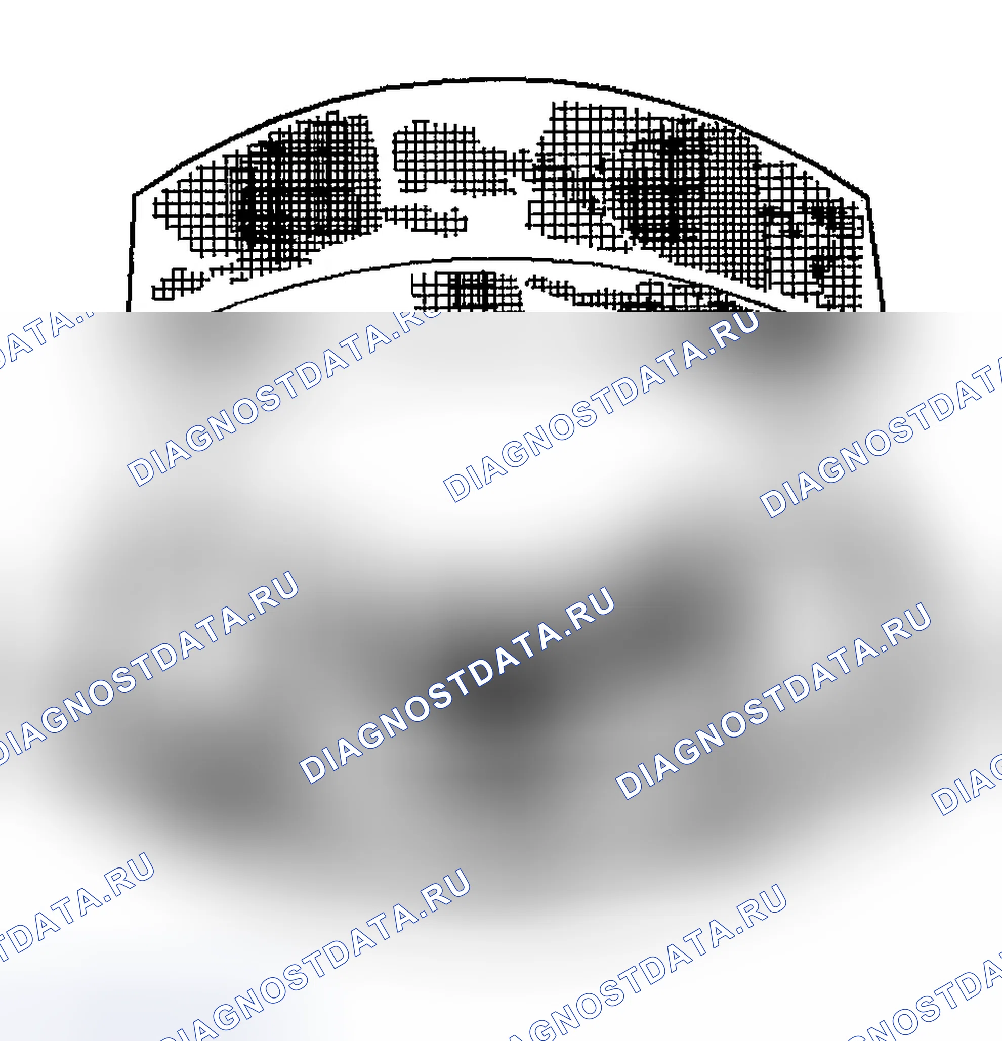 Рис. 225: Фреттаж. Chevrolet Chevy Express H2500 