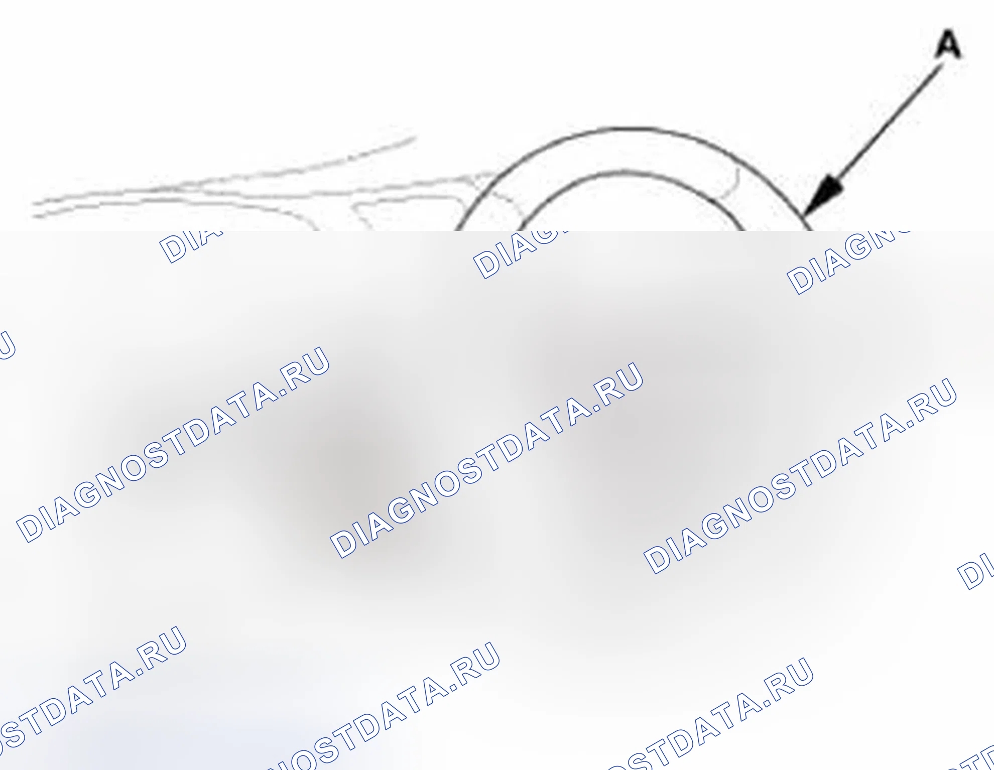 Рис. 879. Honda Civic IX
