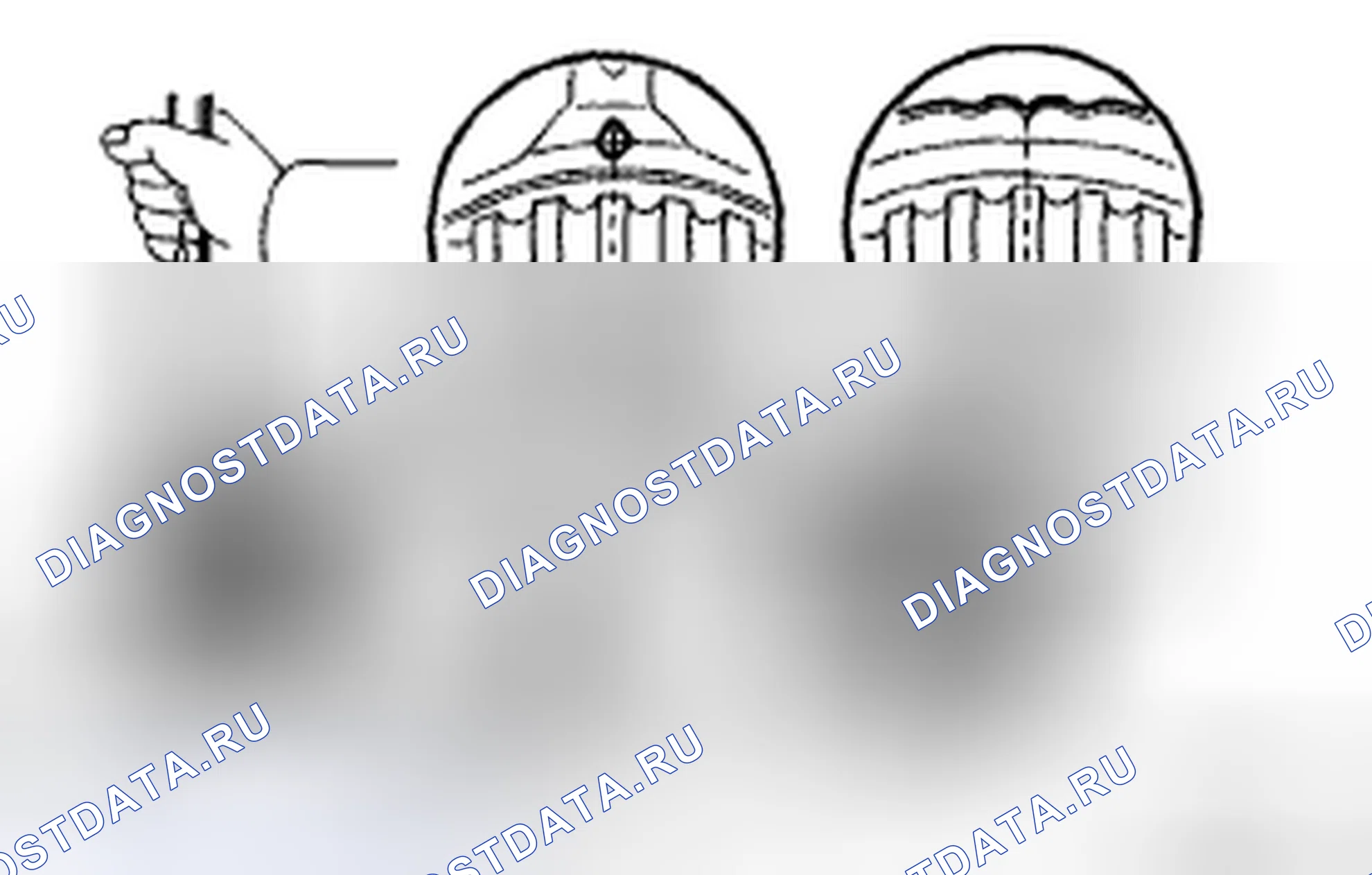 Рис. 402. Honda Accord IX