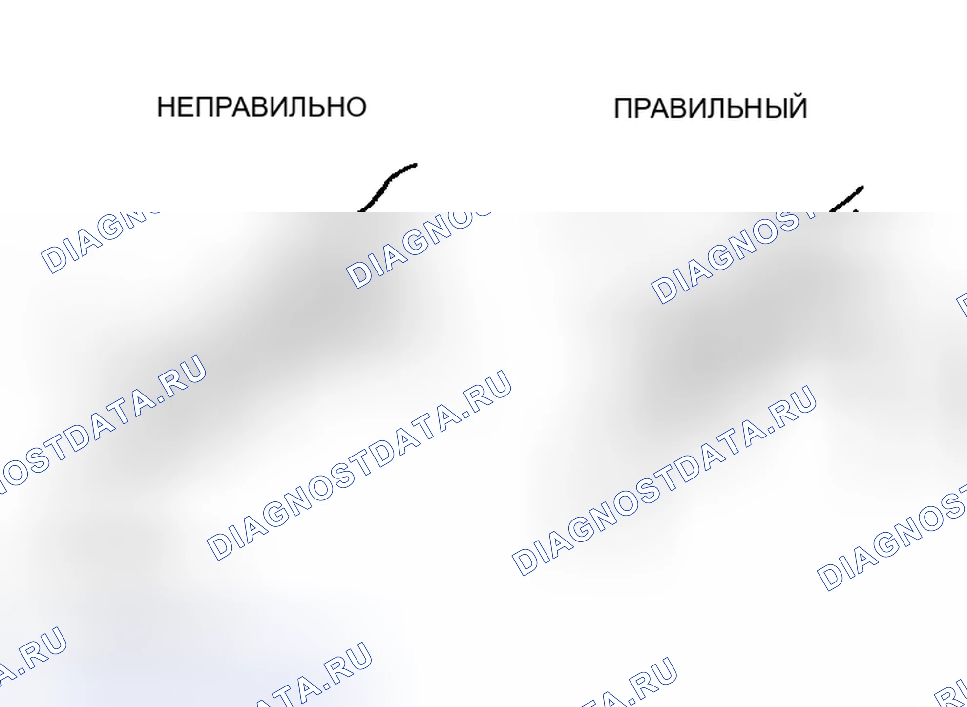 Рис. 48. Toyota Sequoia I