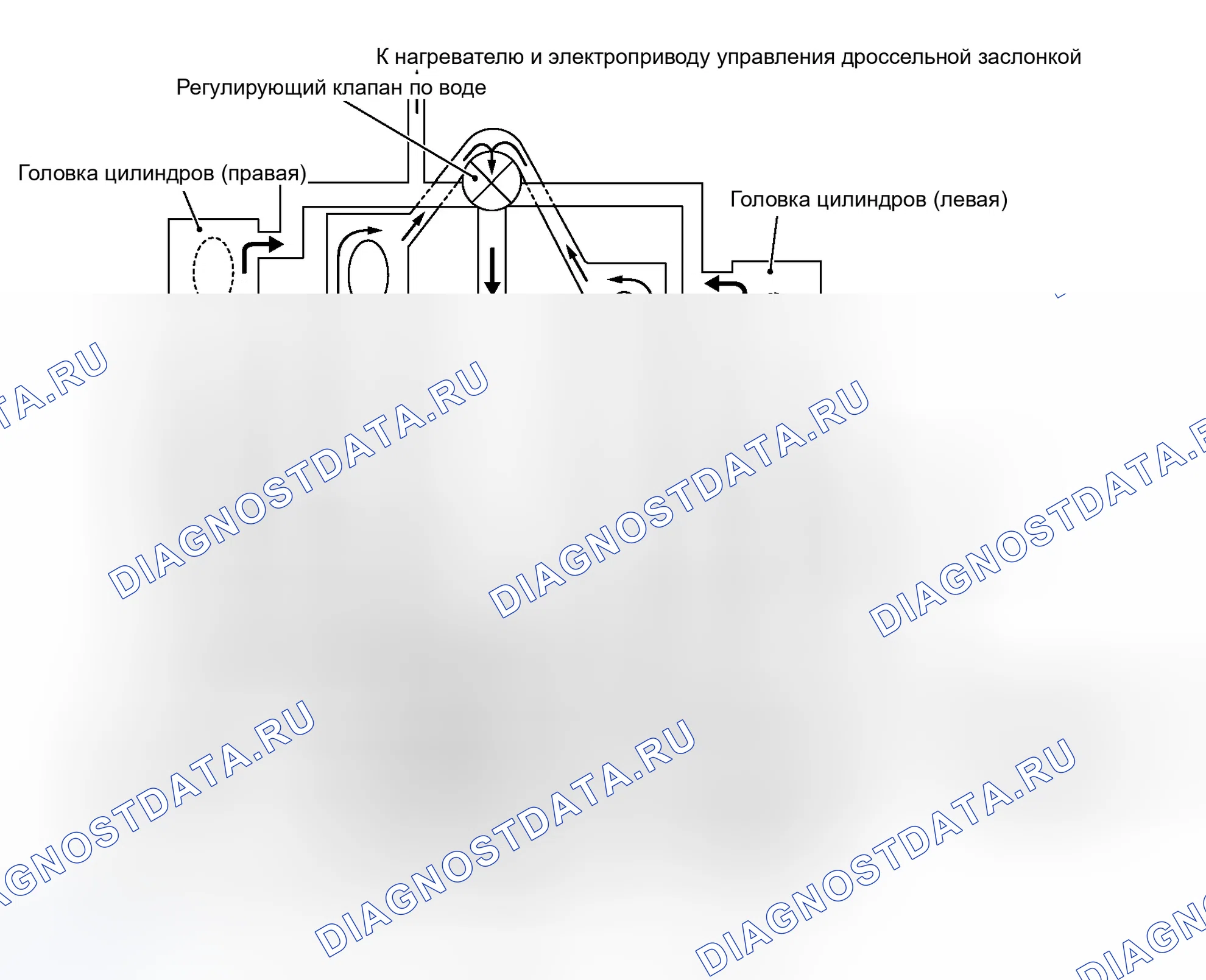 Рис. 29: Контур охлаждения. Infiniti M45 II
