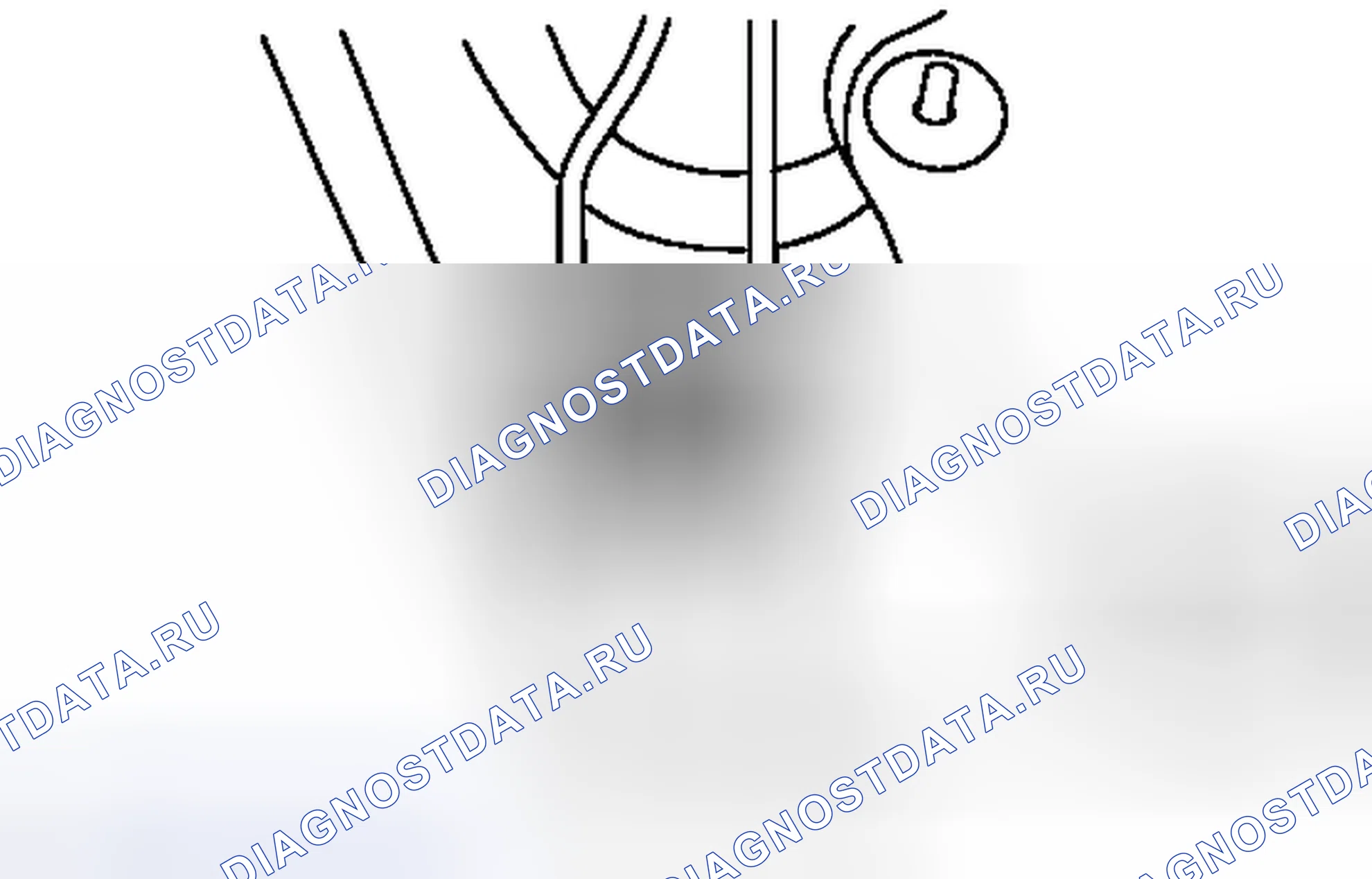 Рис. 69. Scion tC II рестайлинг