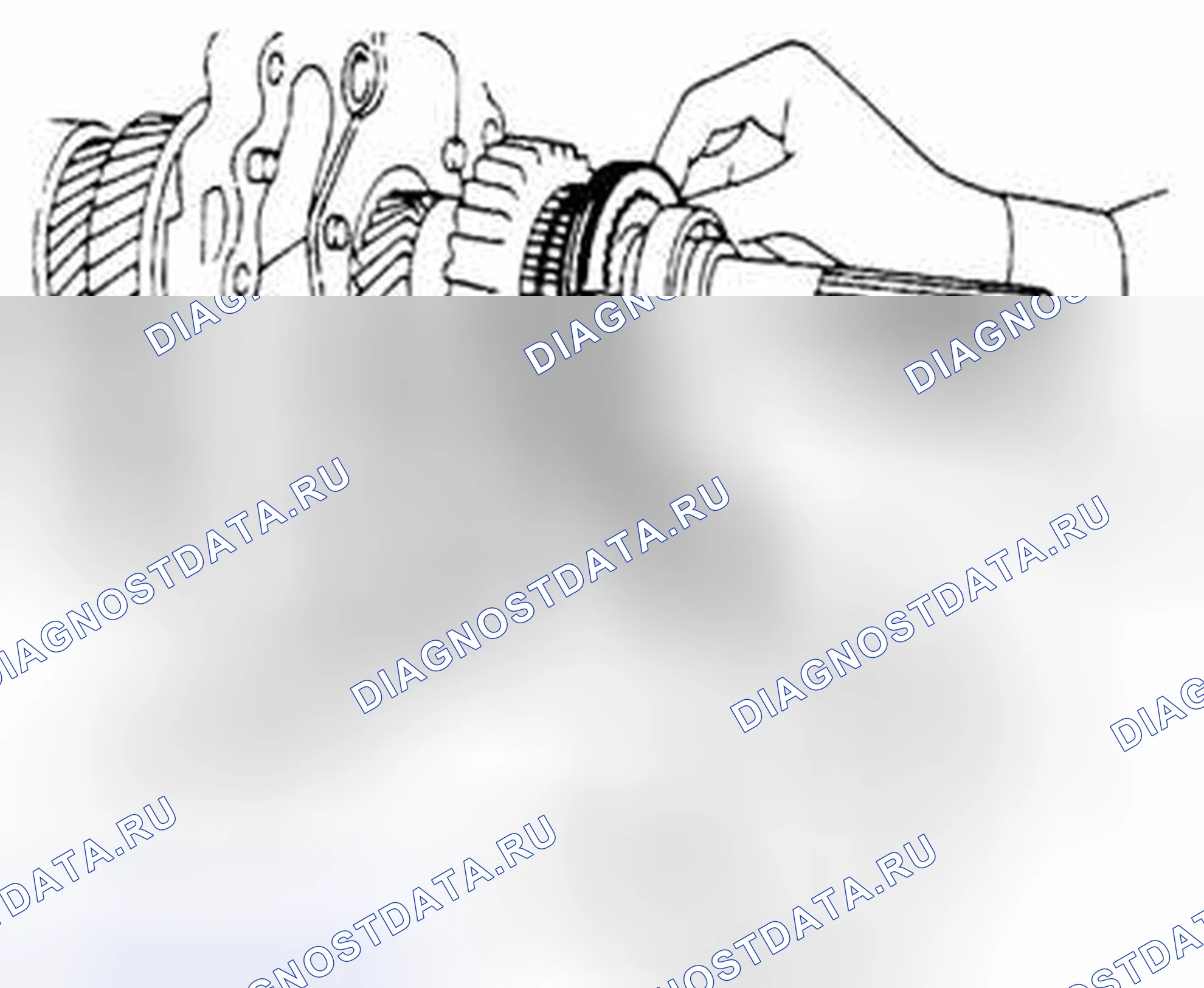 Рис. 302. Suzuki Equator I