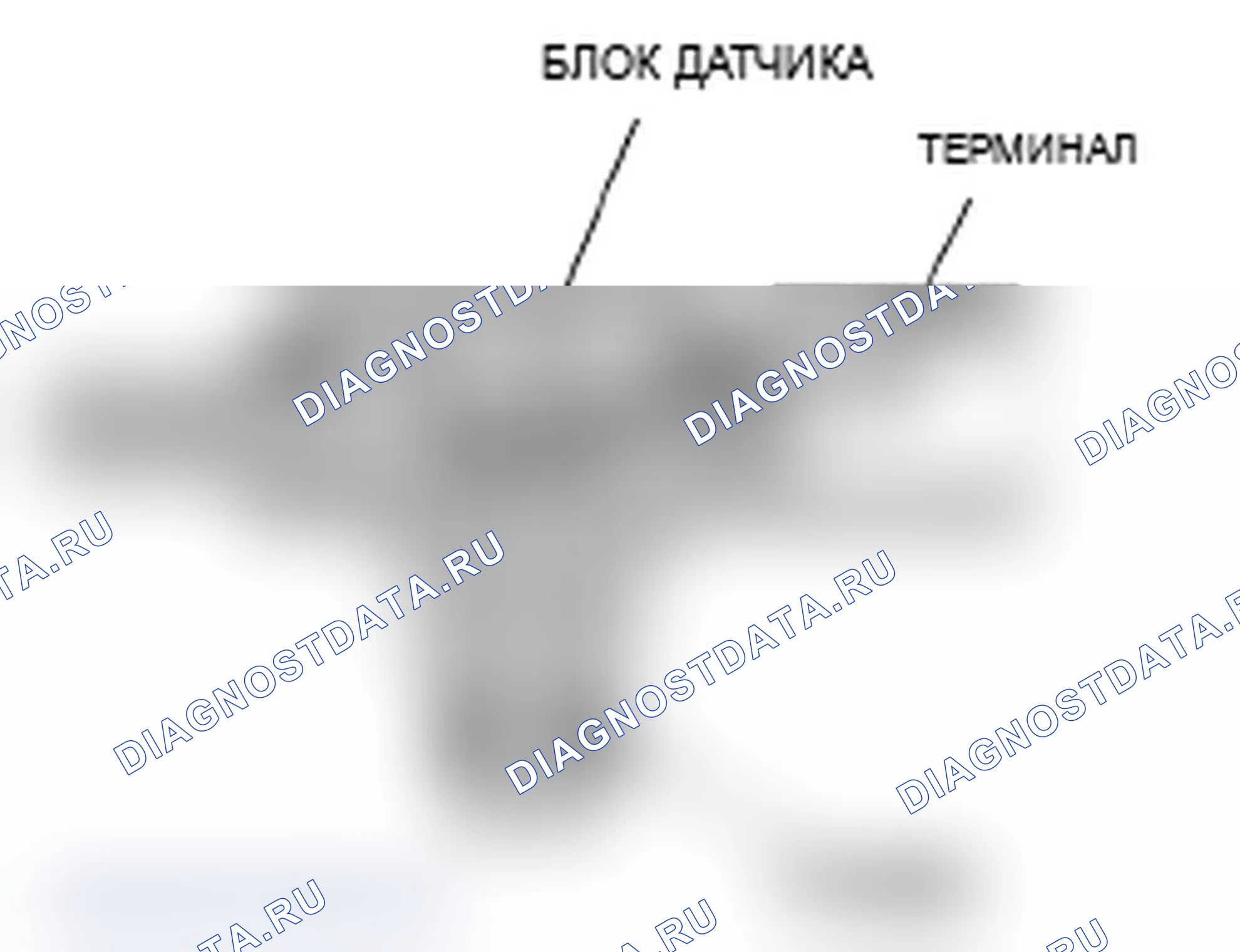 Рис. 42: Клапан продувки канистры EVAP. Acura TL III рестайлинг